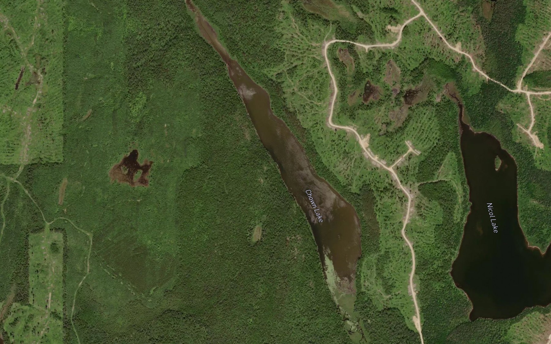 Satellite map of the Chown Lake