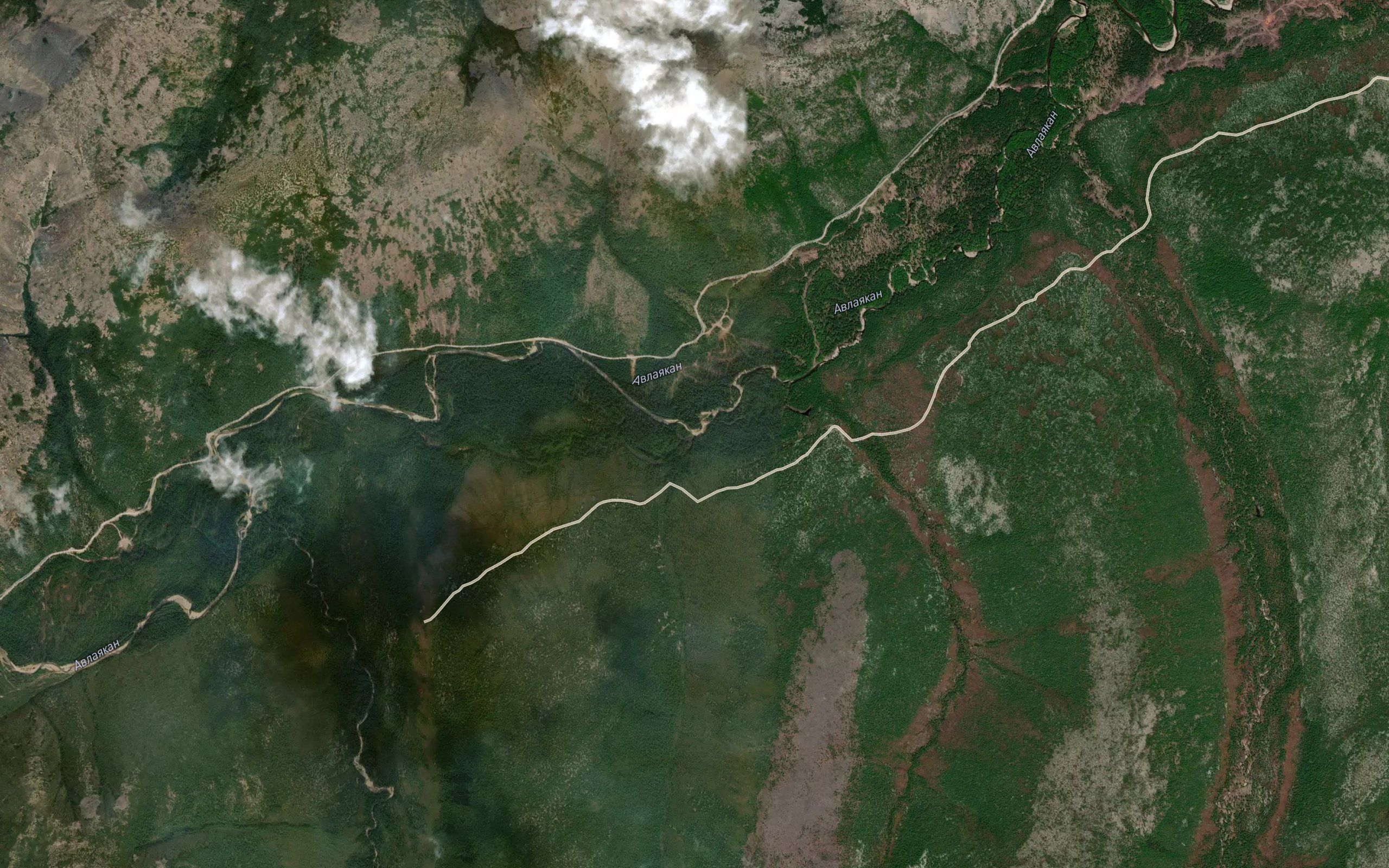 Zvonkiy