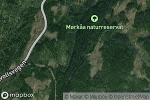 Morkaa