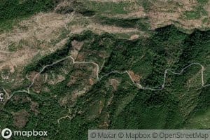 Seyhhasanatekkesi Pinari