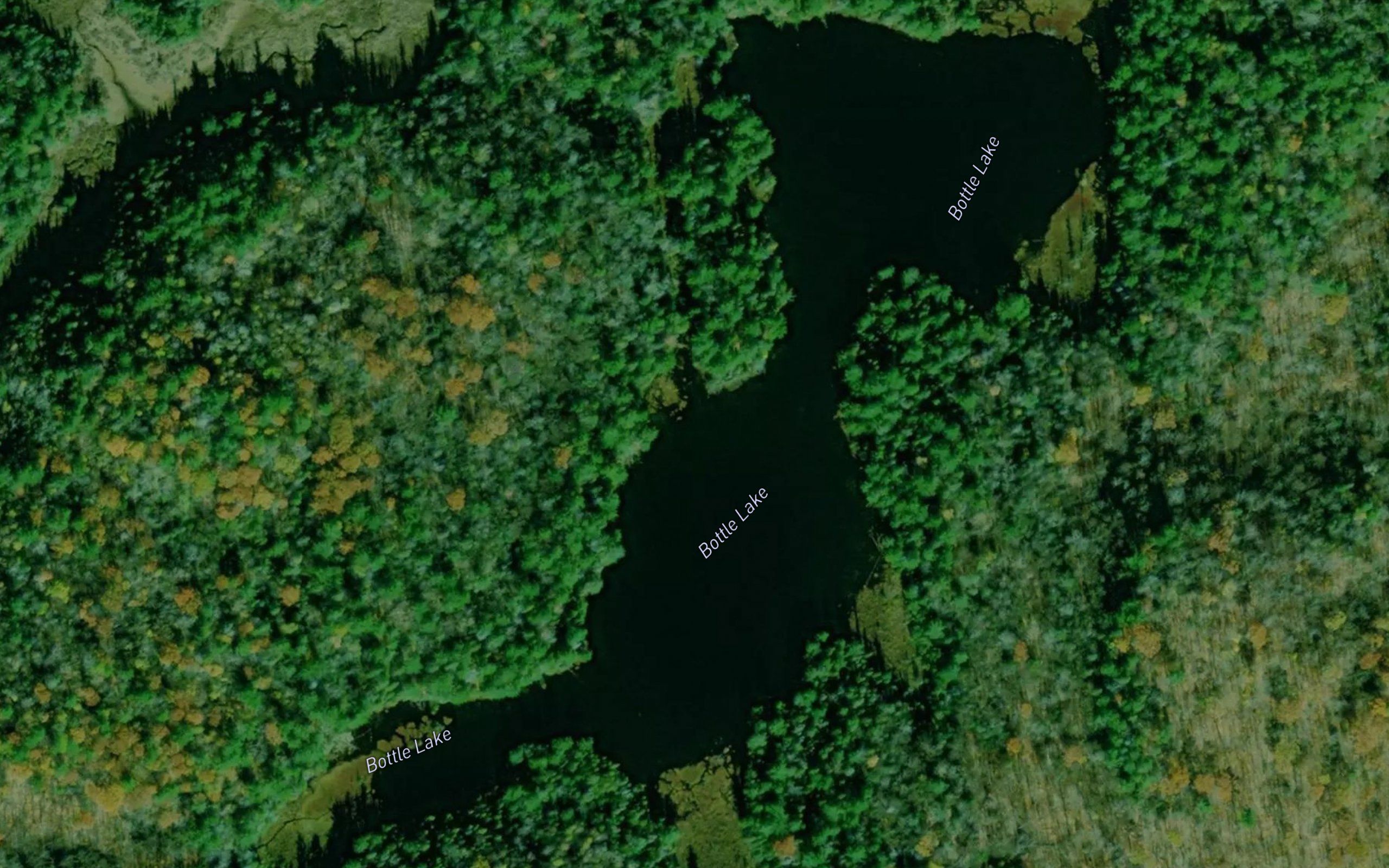 Bottle Lake