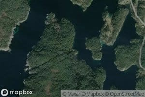 Skipavikalen
