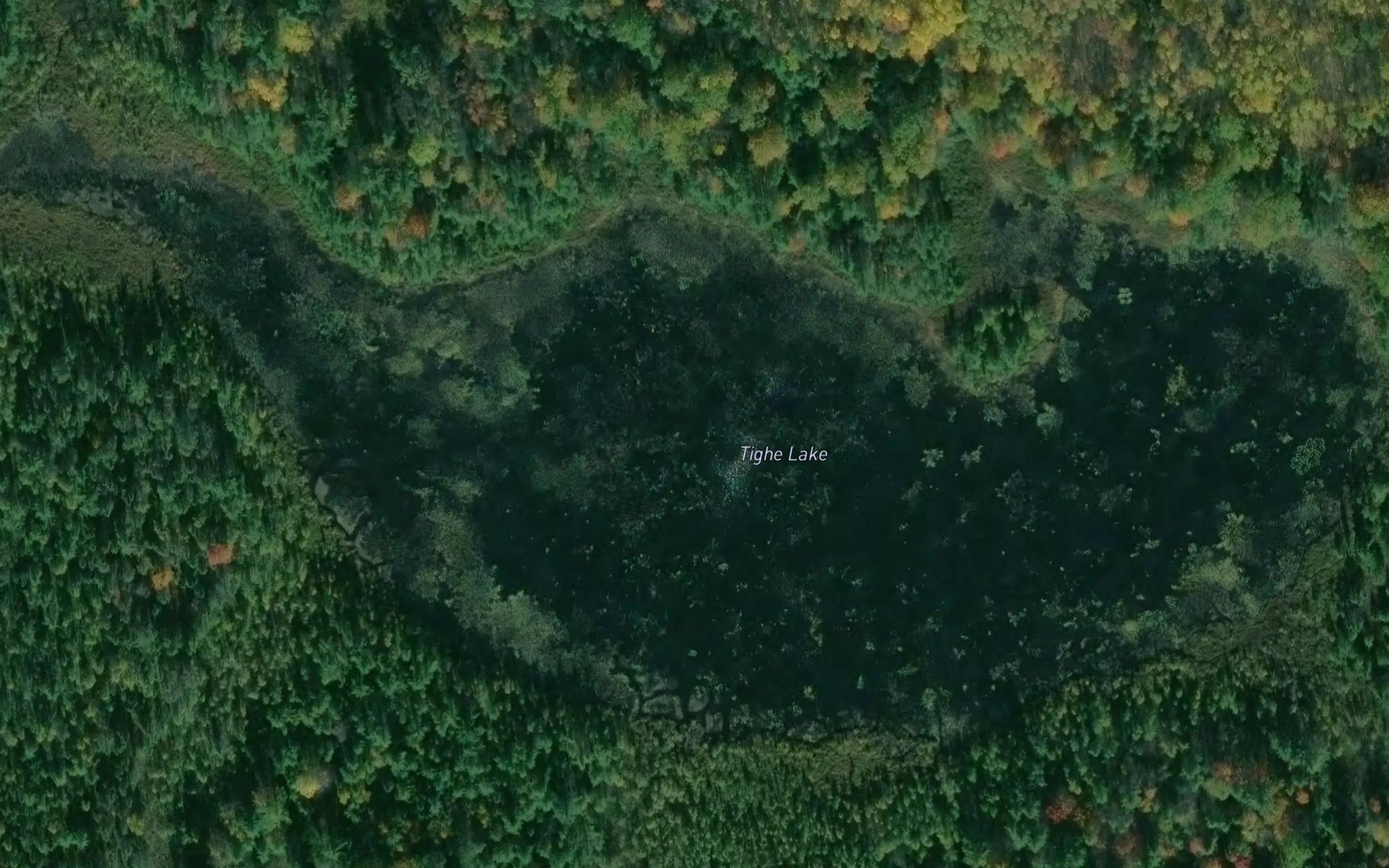 Satellite map of the Tighe Lake
