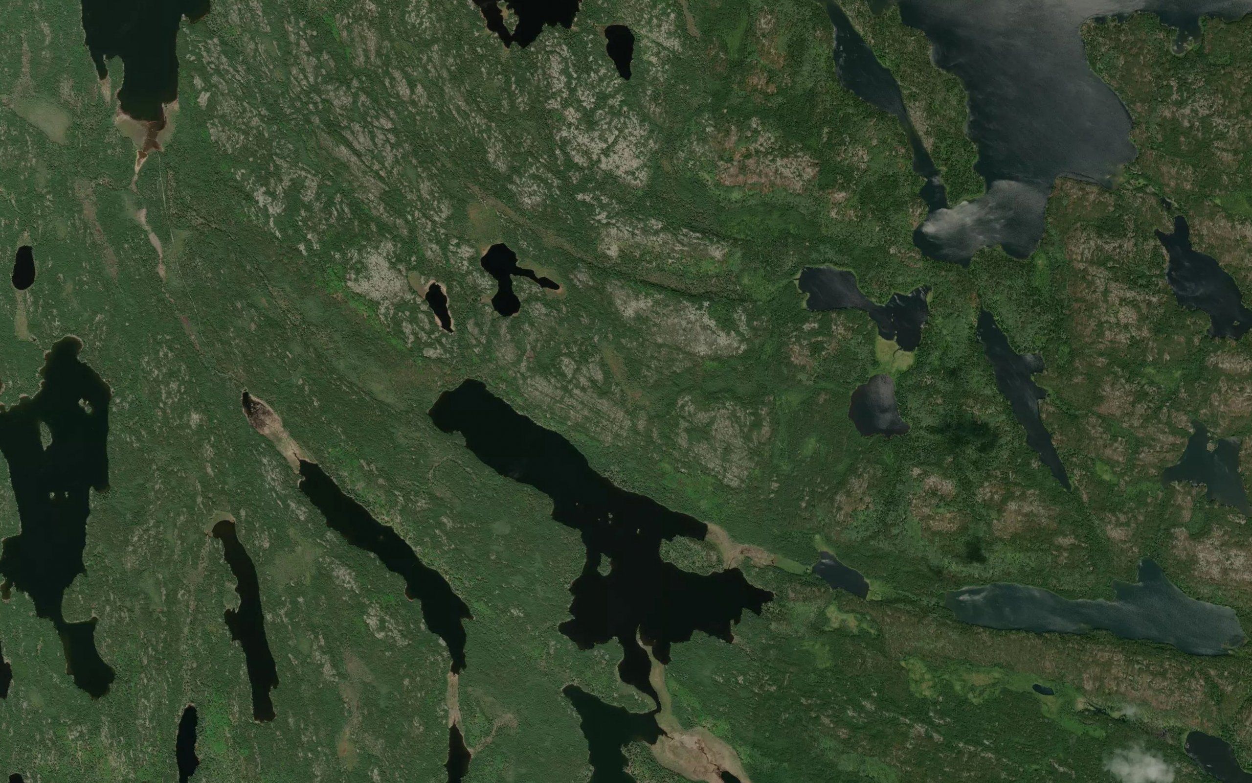 Harrison Lake