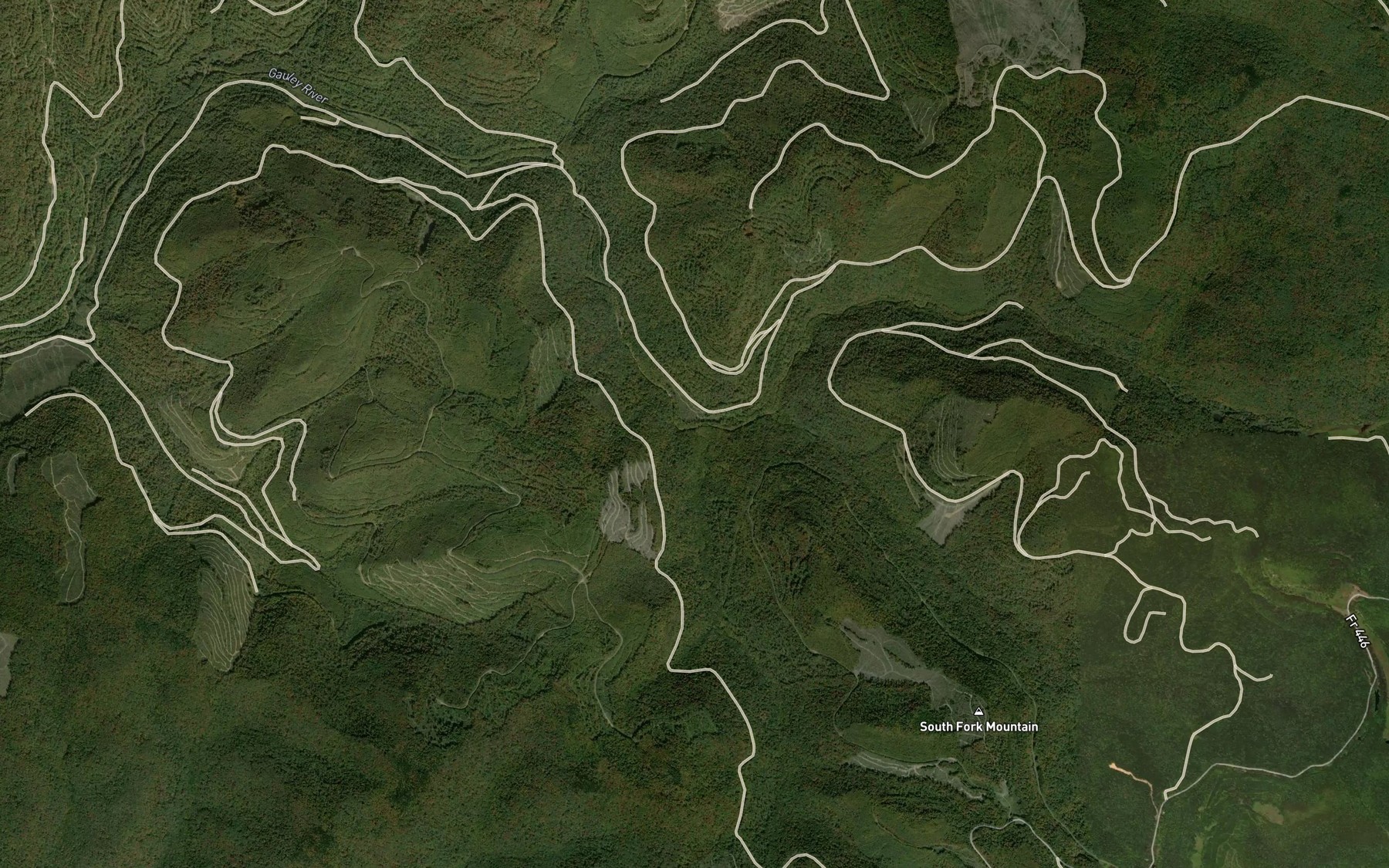 Satellite map of the South Fork Gauley River
