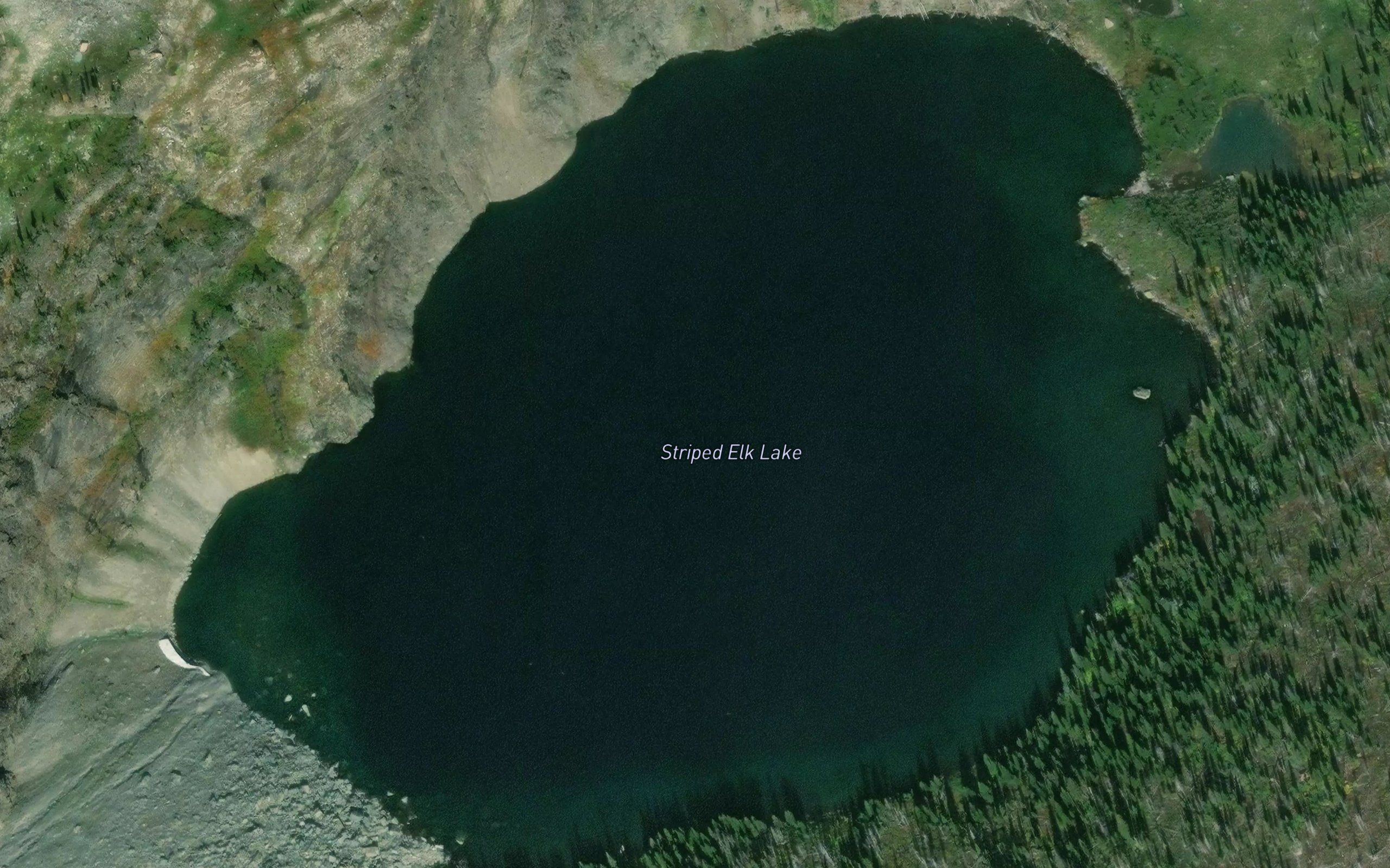 Striped Elk Lake