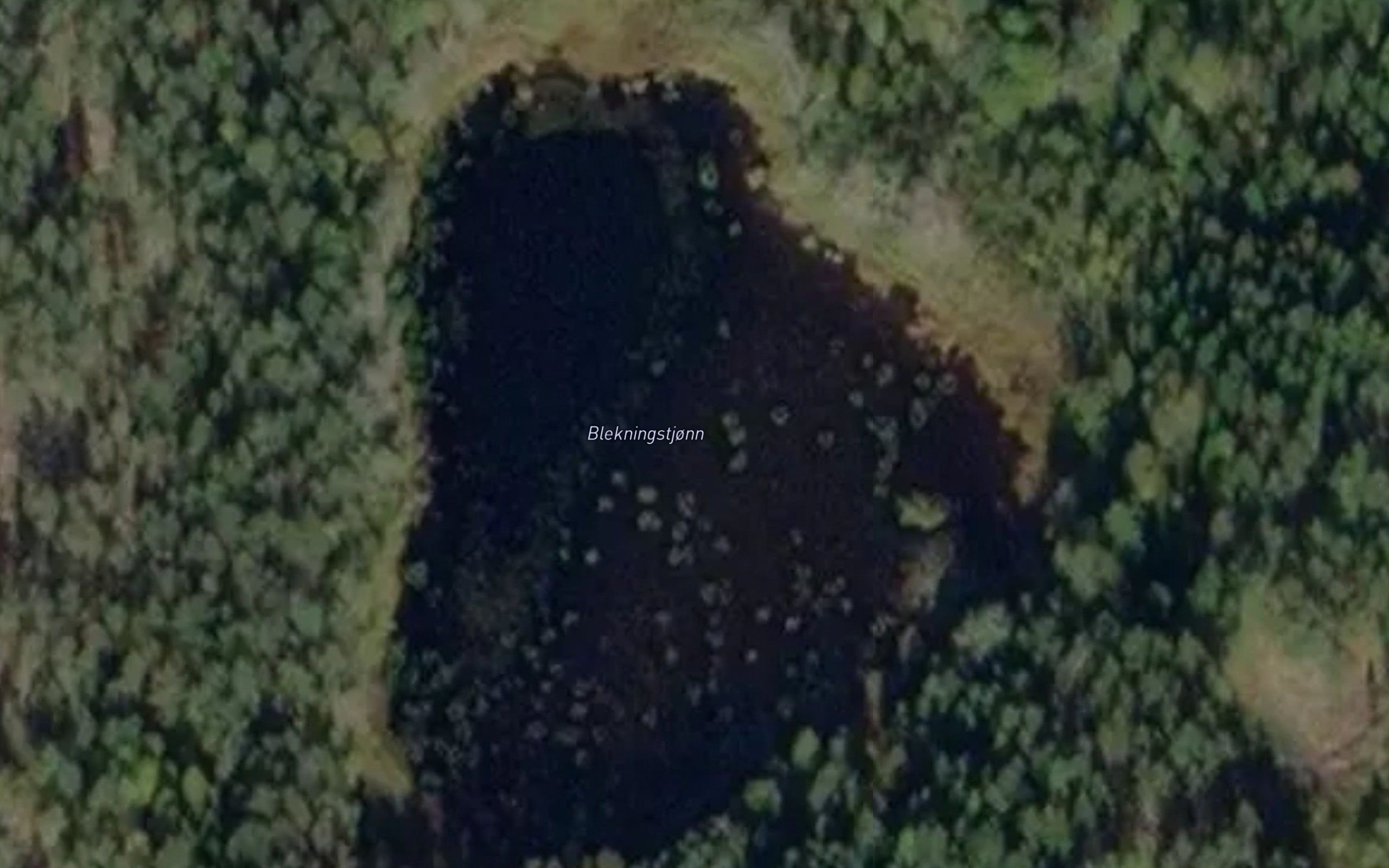 Blekkningstjorn