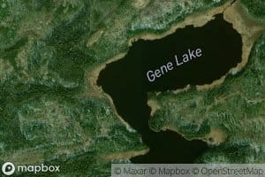 Gene Lake