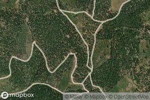 Sugar Pine Spring