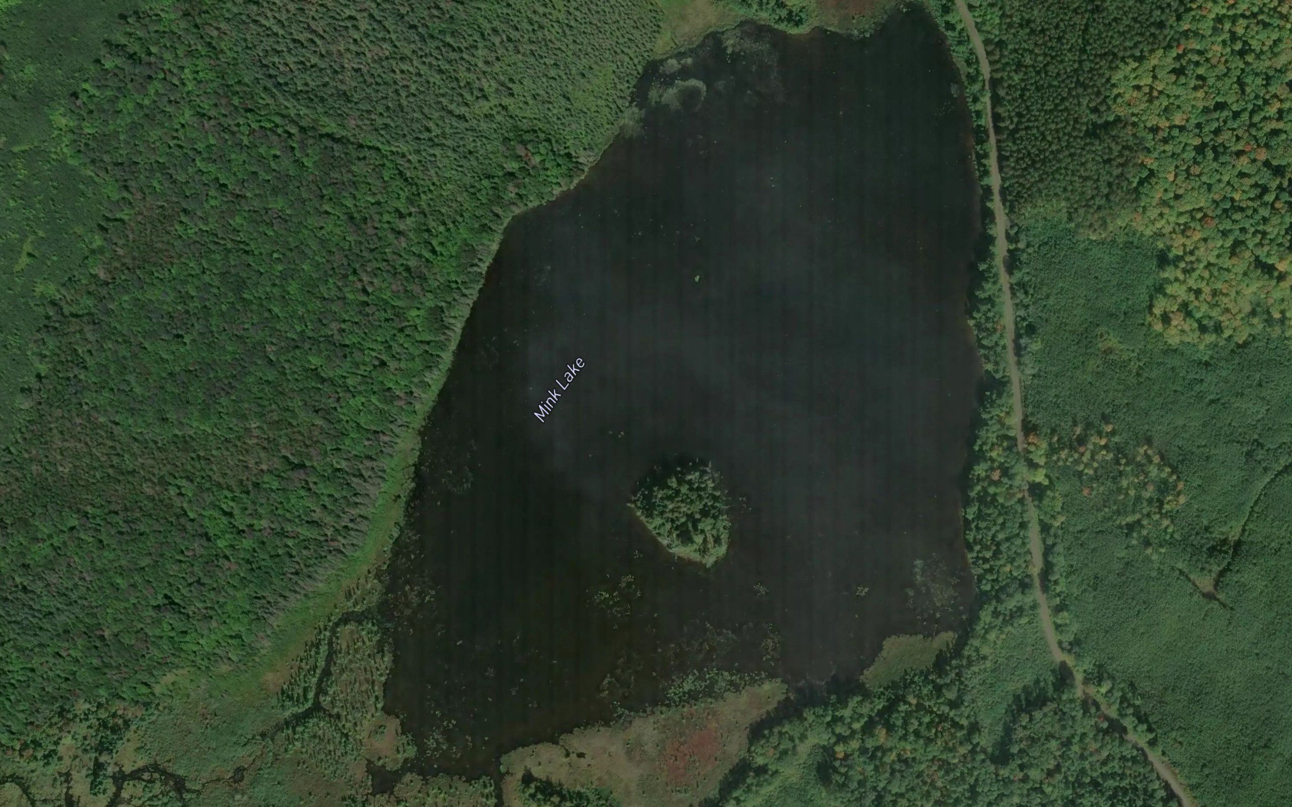 Mink Lake