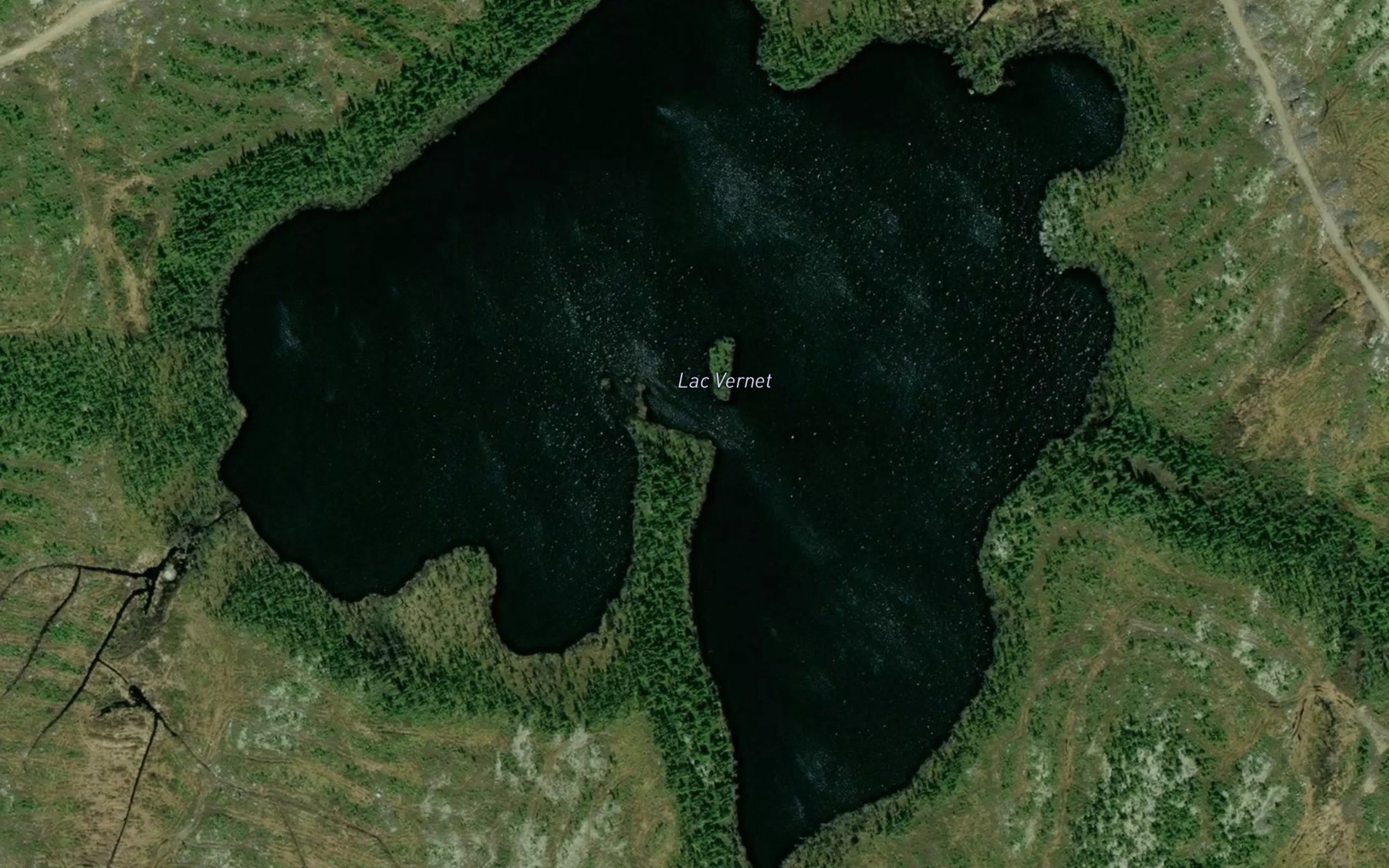 Satellite map of the Lac Vernet
