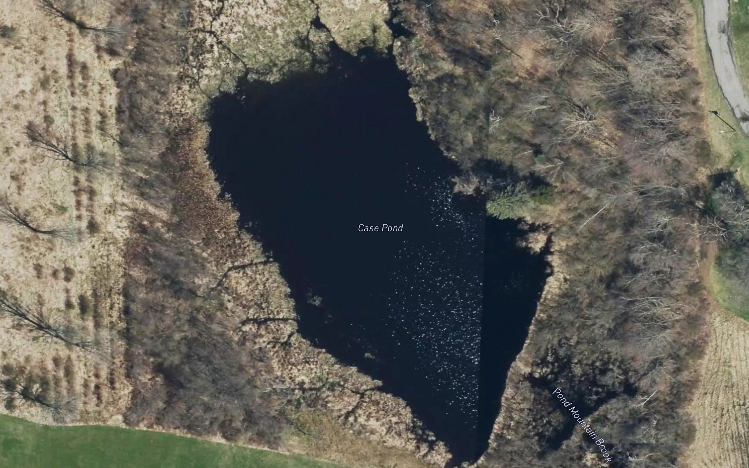 Case Pond
