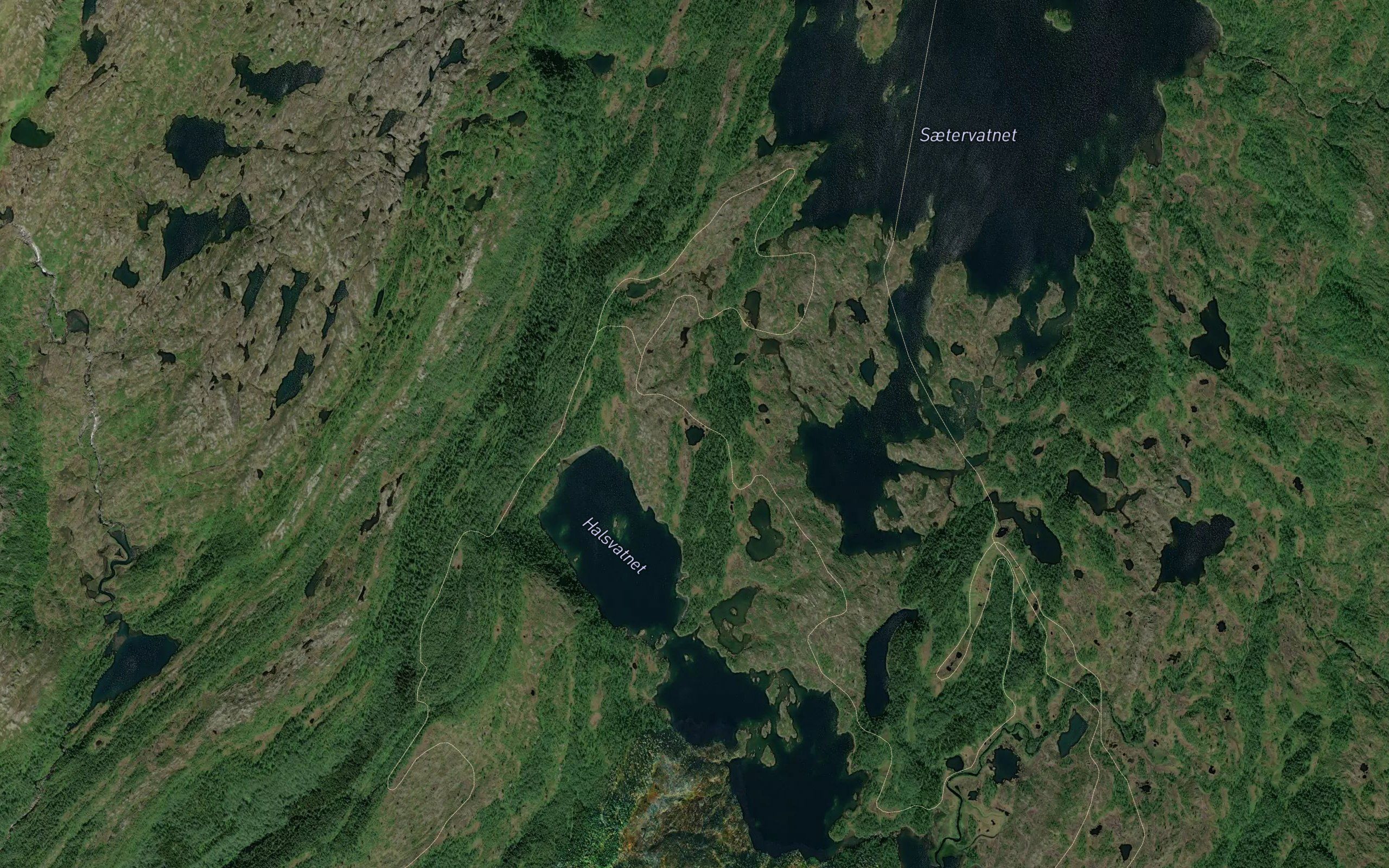 Leontjonna