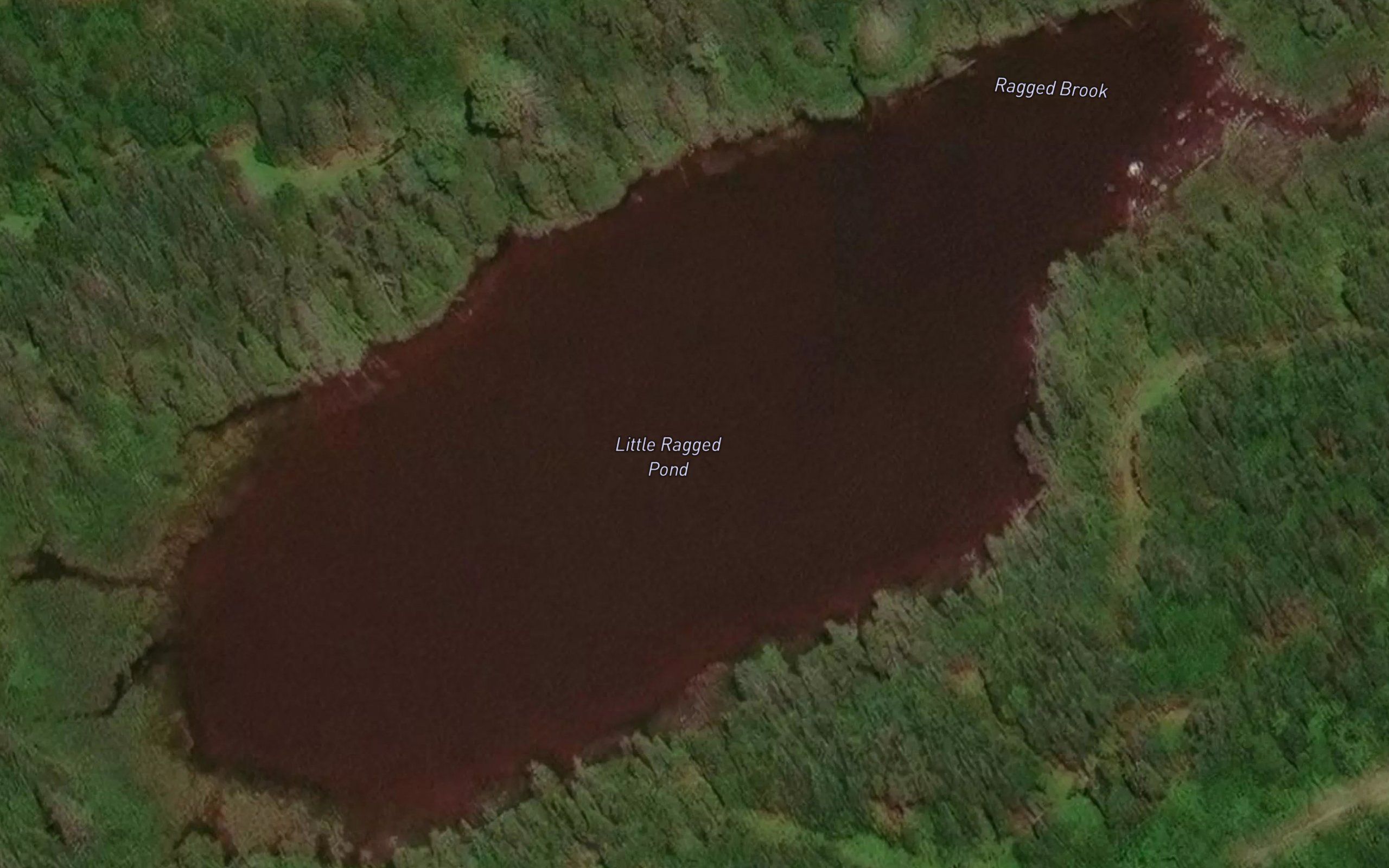 Little Ragged Pond