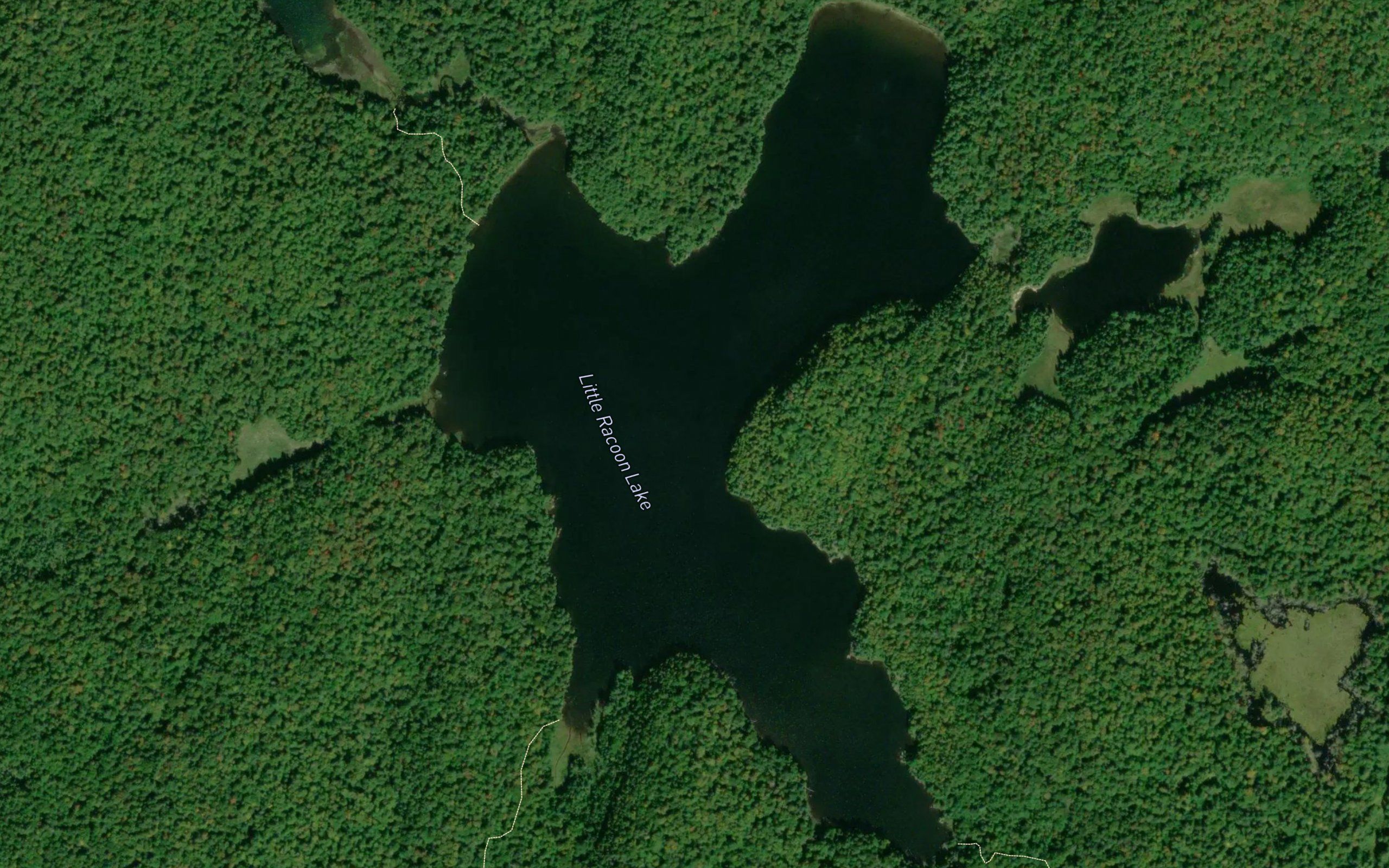 Little Coon Lake