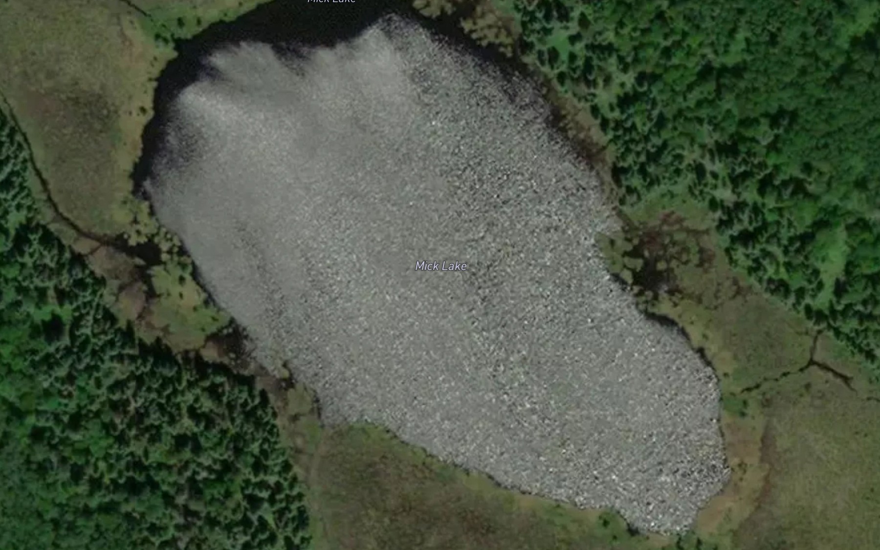 Satellite map of the Mick Lake