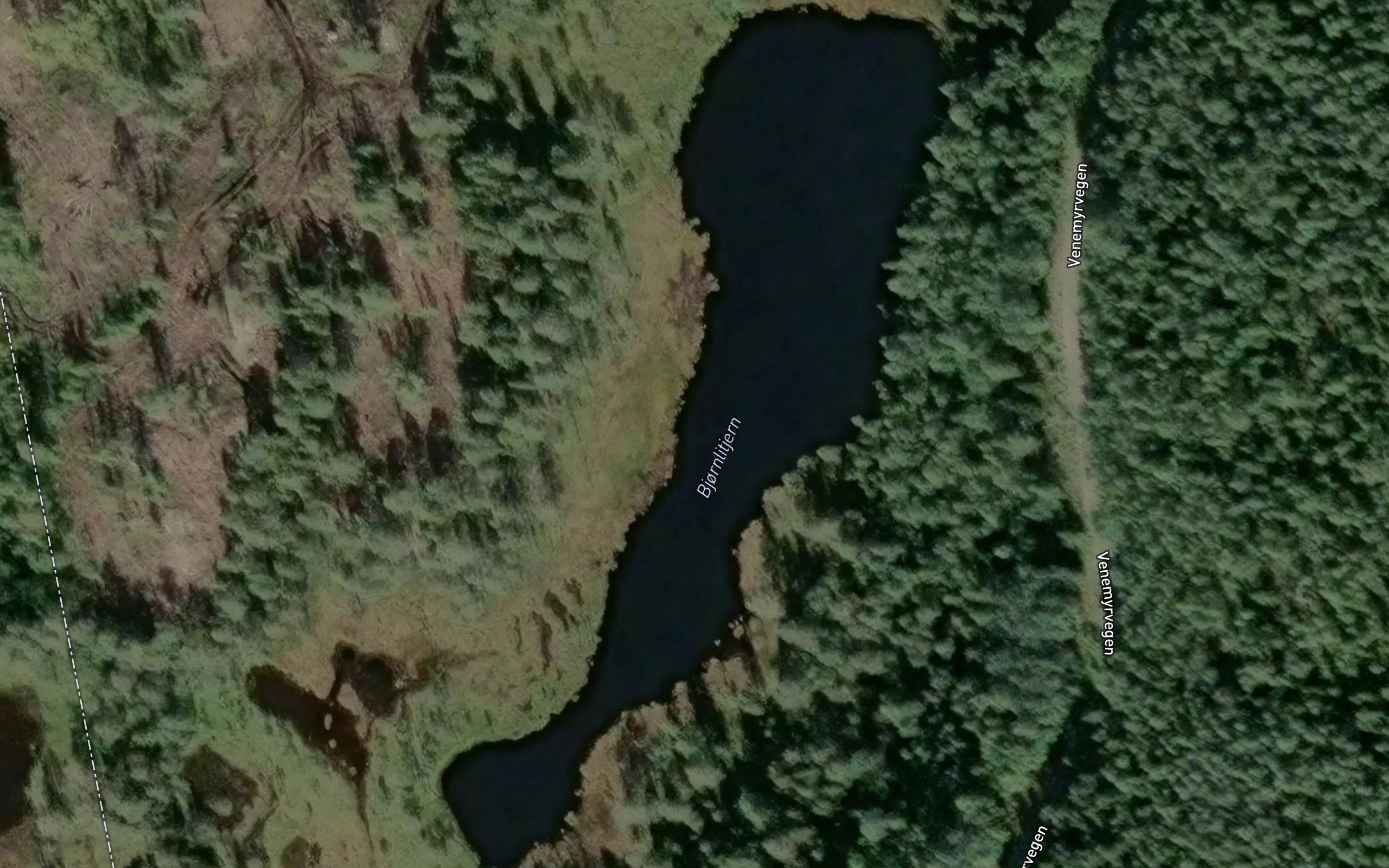Bjornlitjern