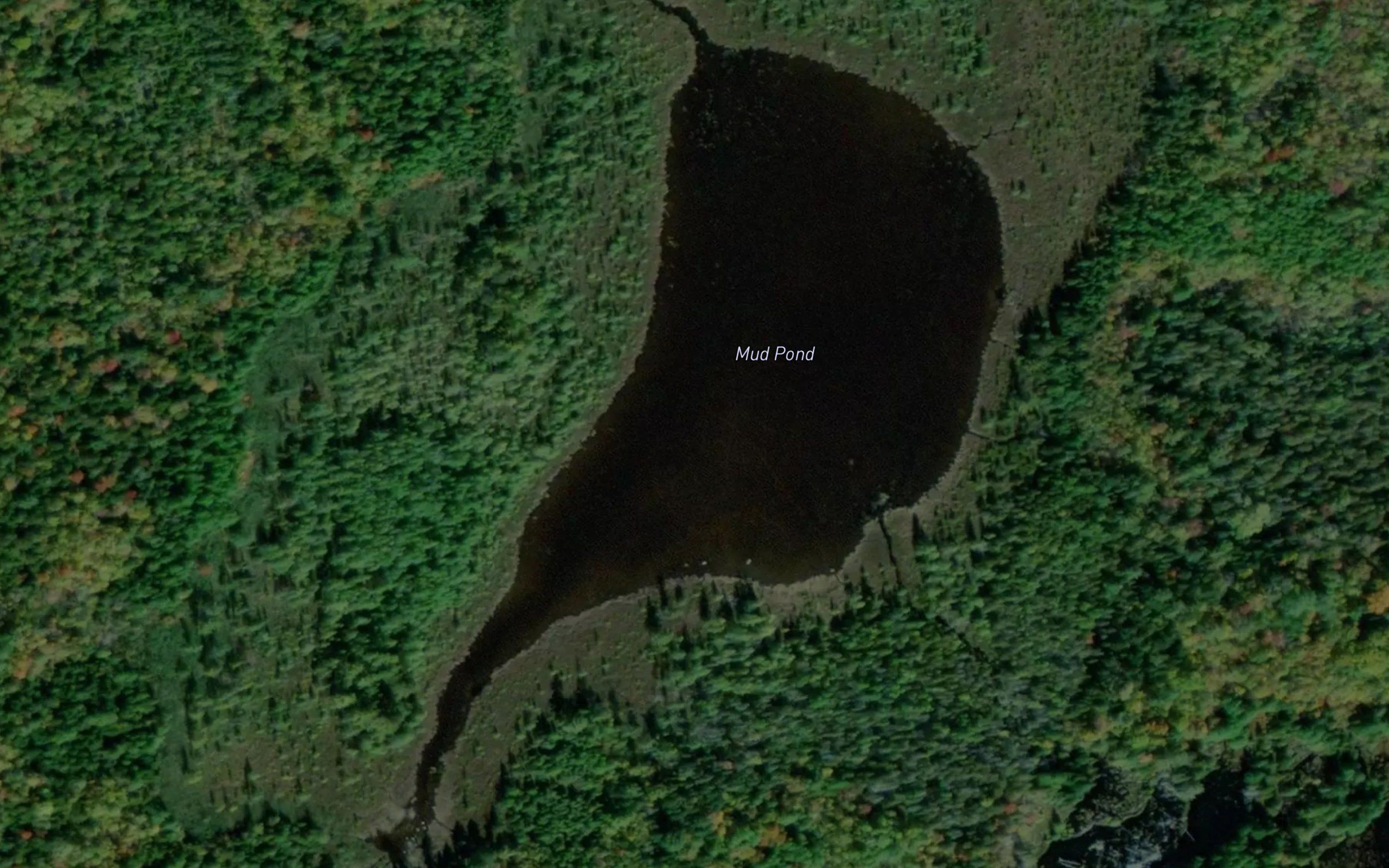 Mud Pond