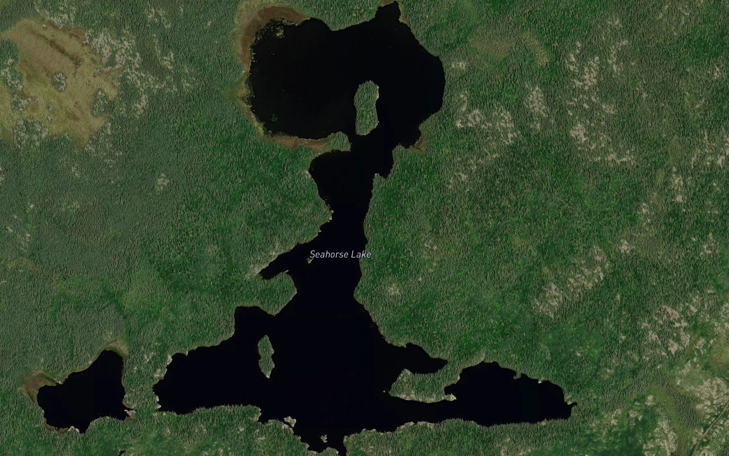 Seahorse Lake