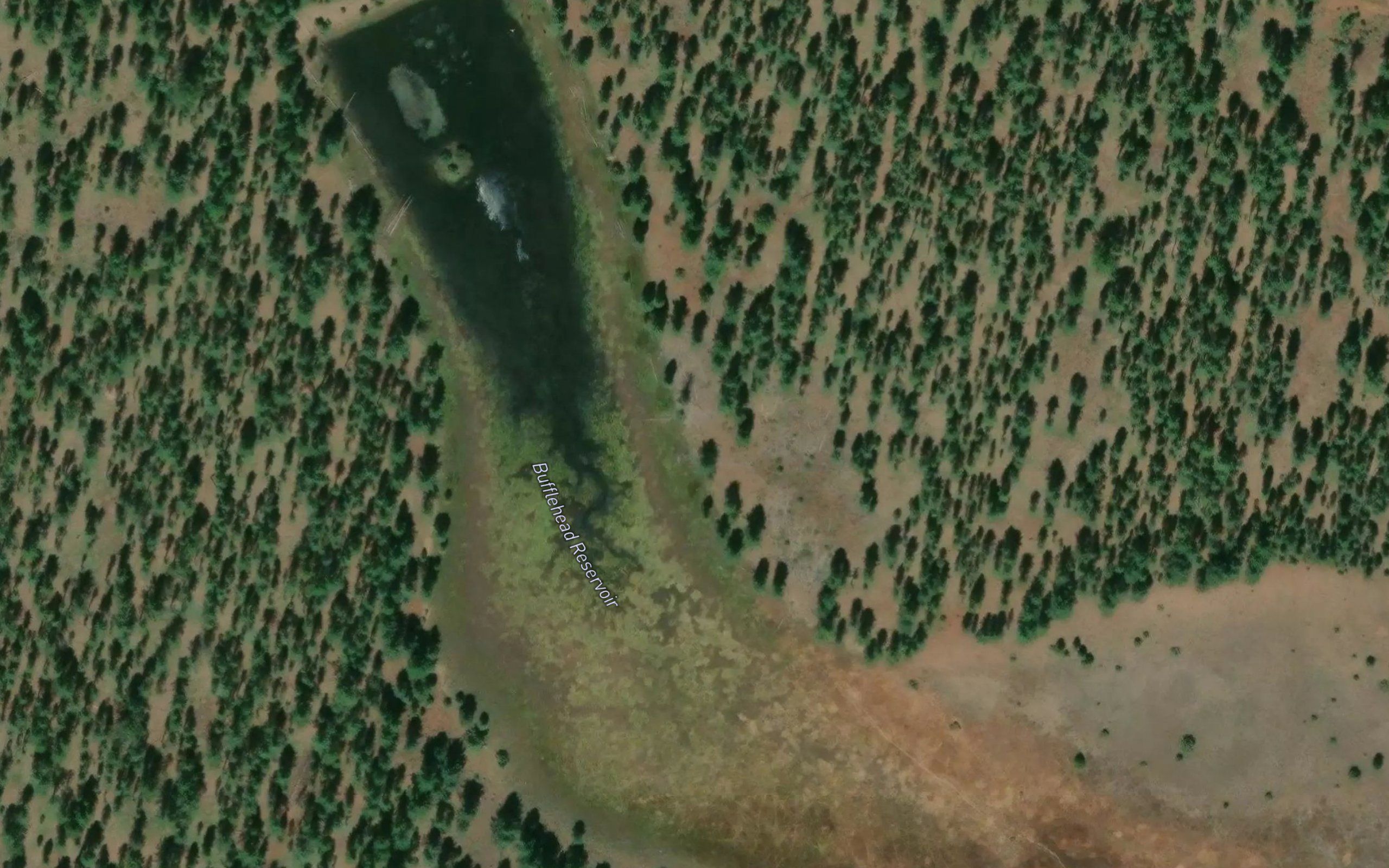 Bufflehead Reservoir