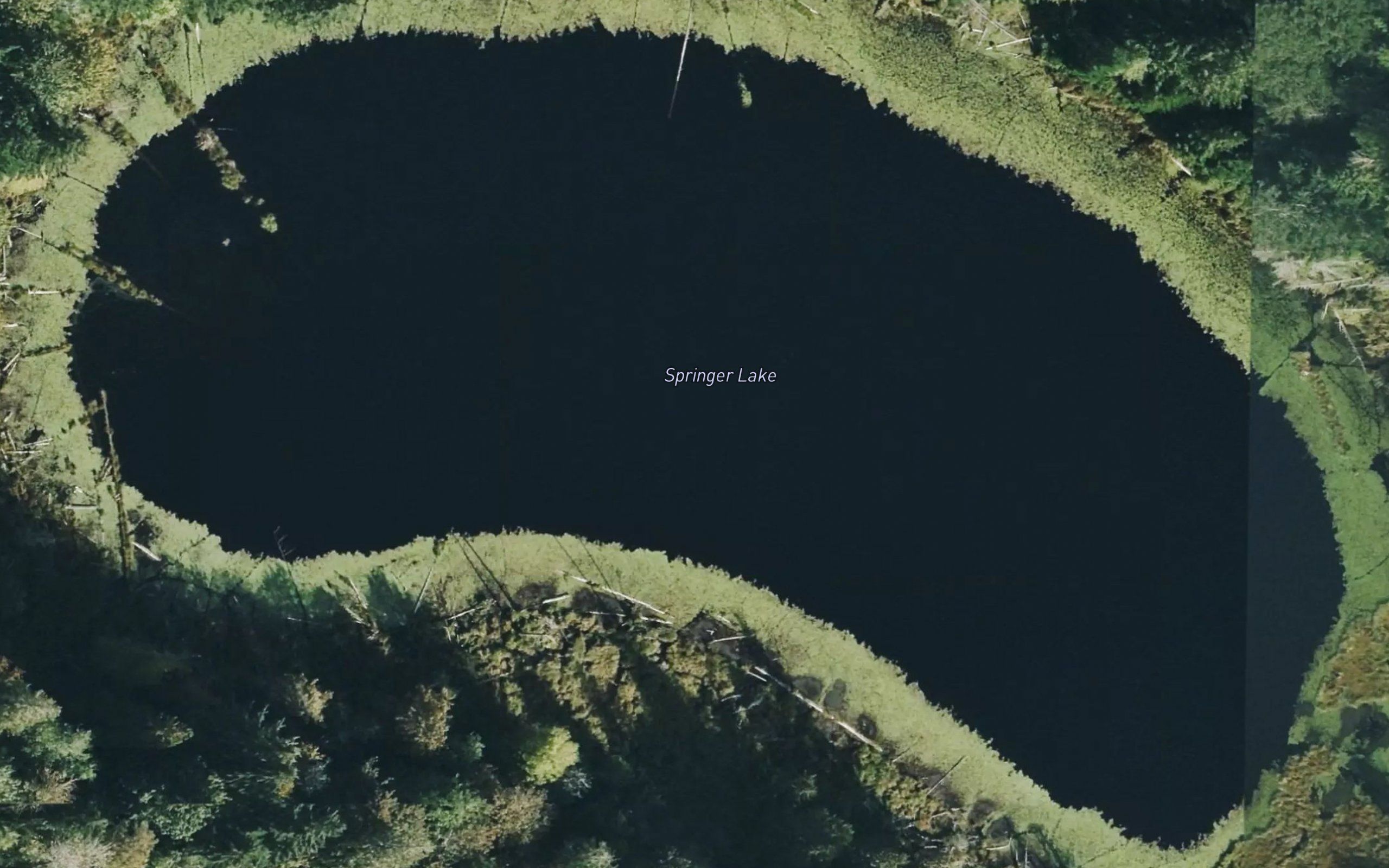 Springer Lake