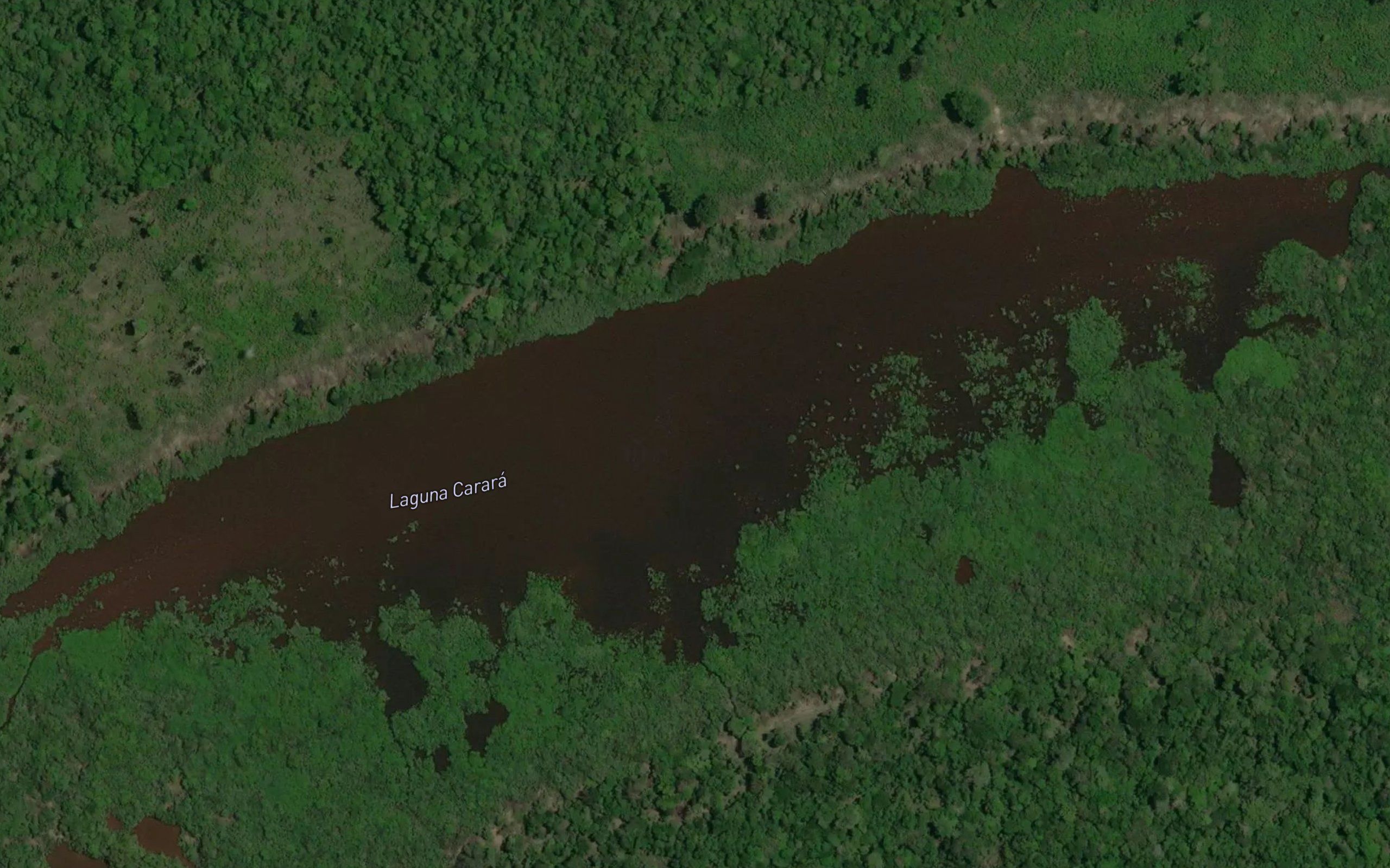 Laguna Carara