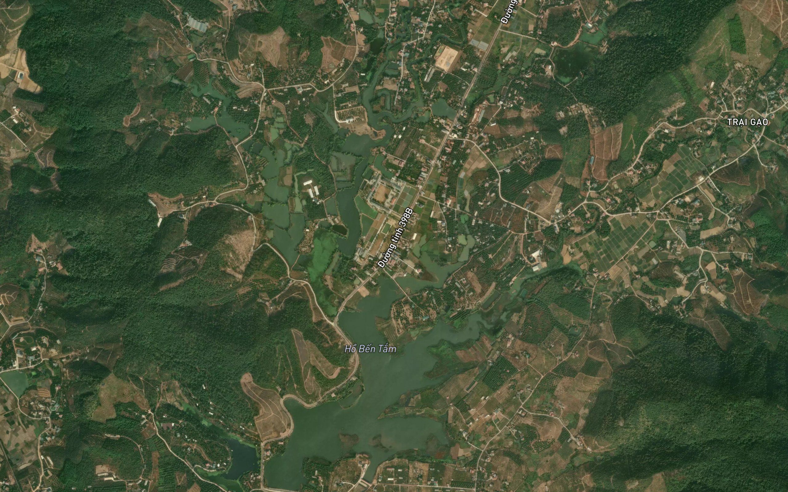 Ho Ben Tam