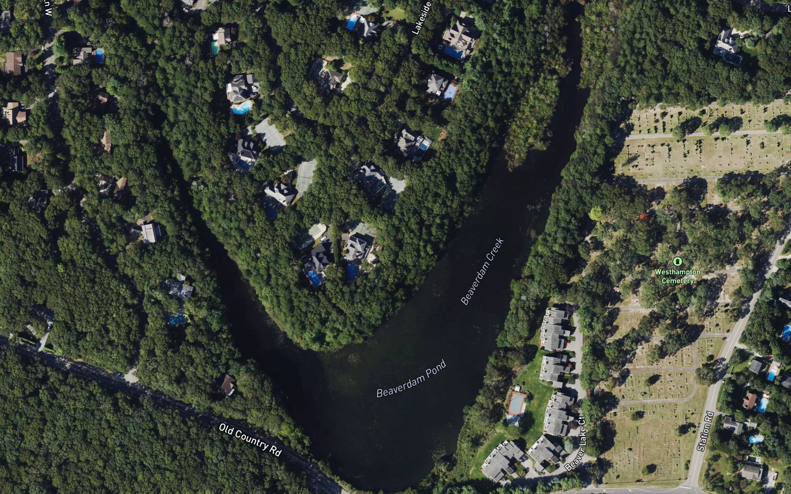 Beaverdam Pond
