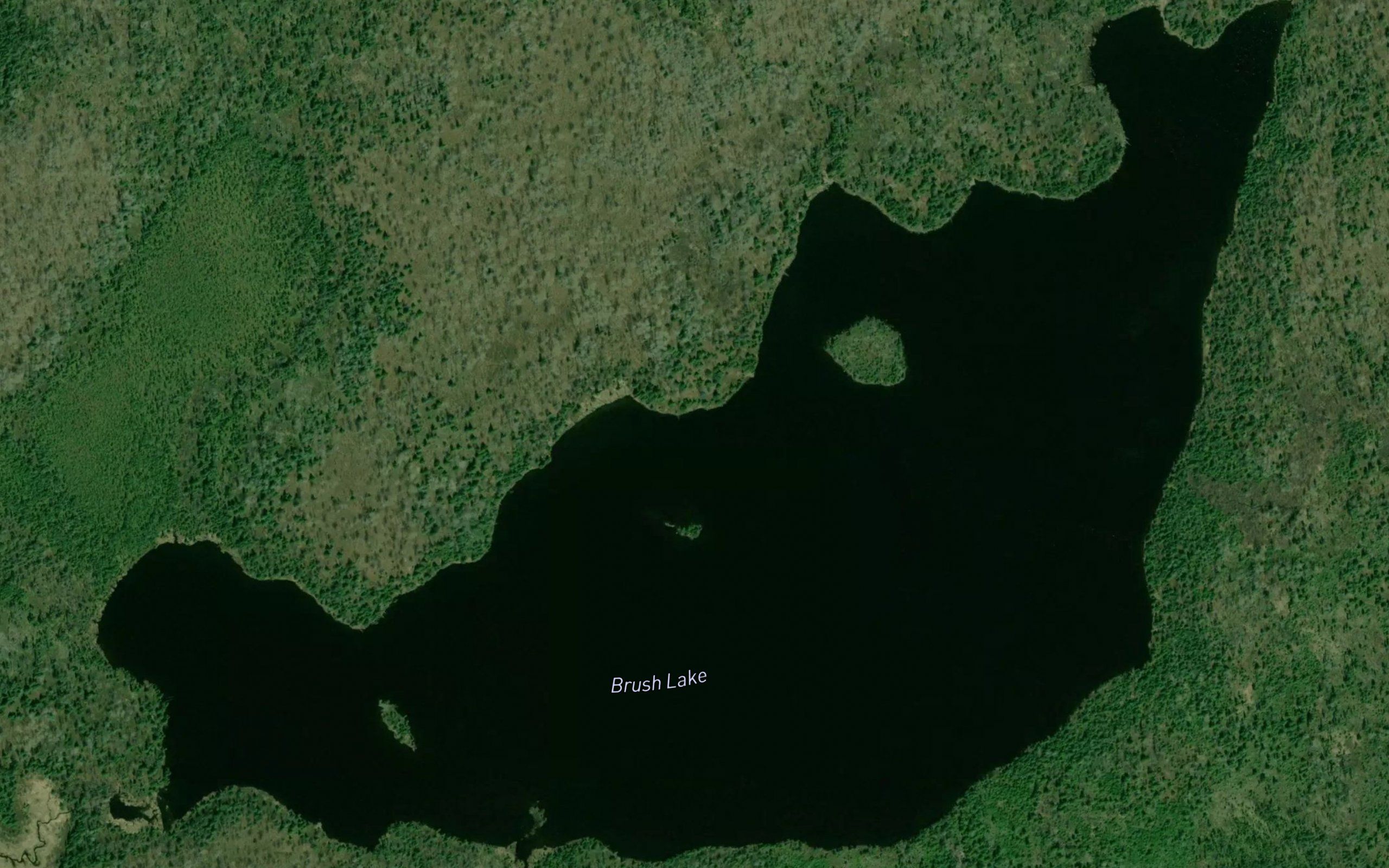 Brush Lake