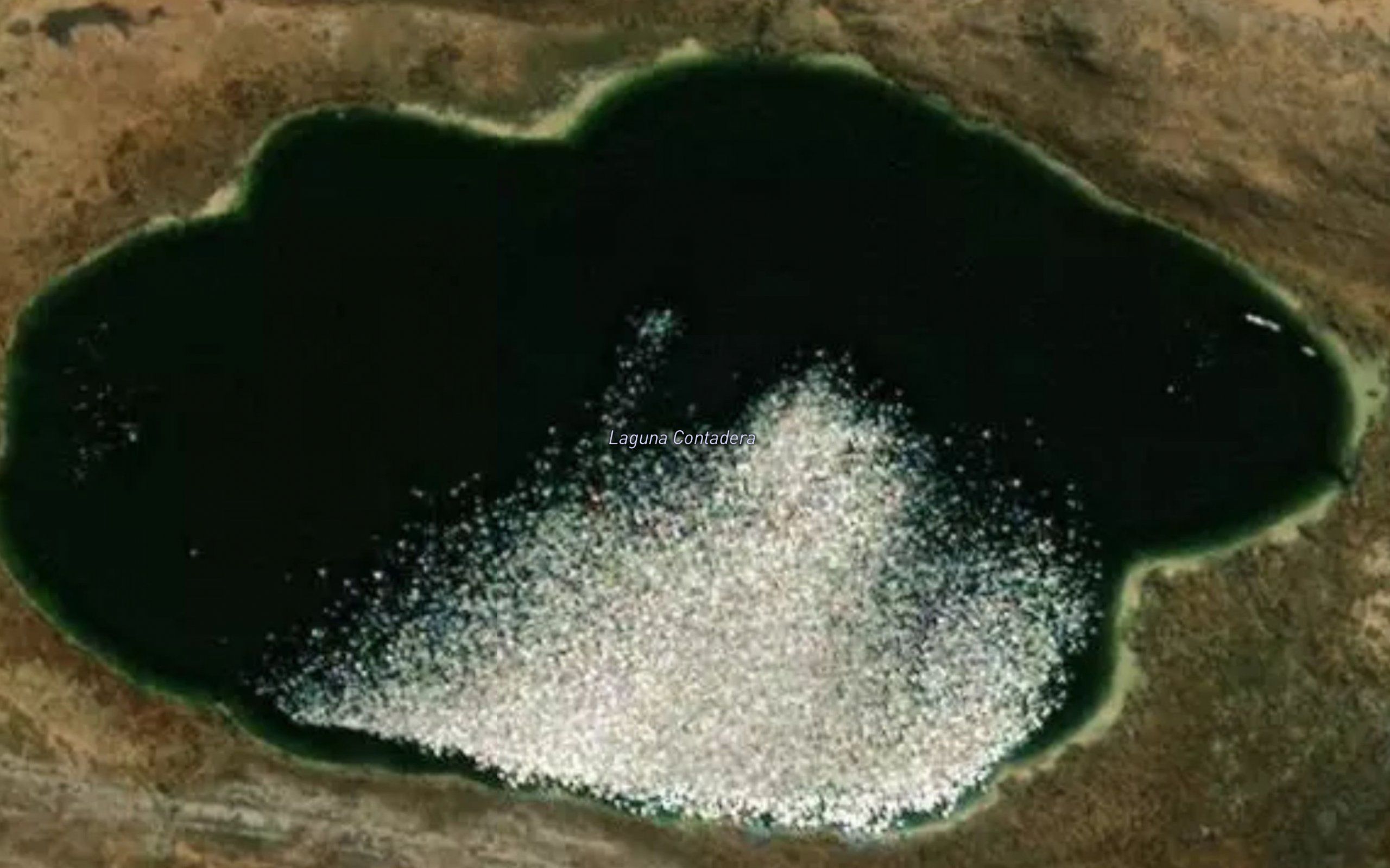 Laguna Contadera