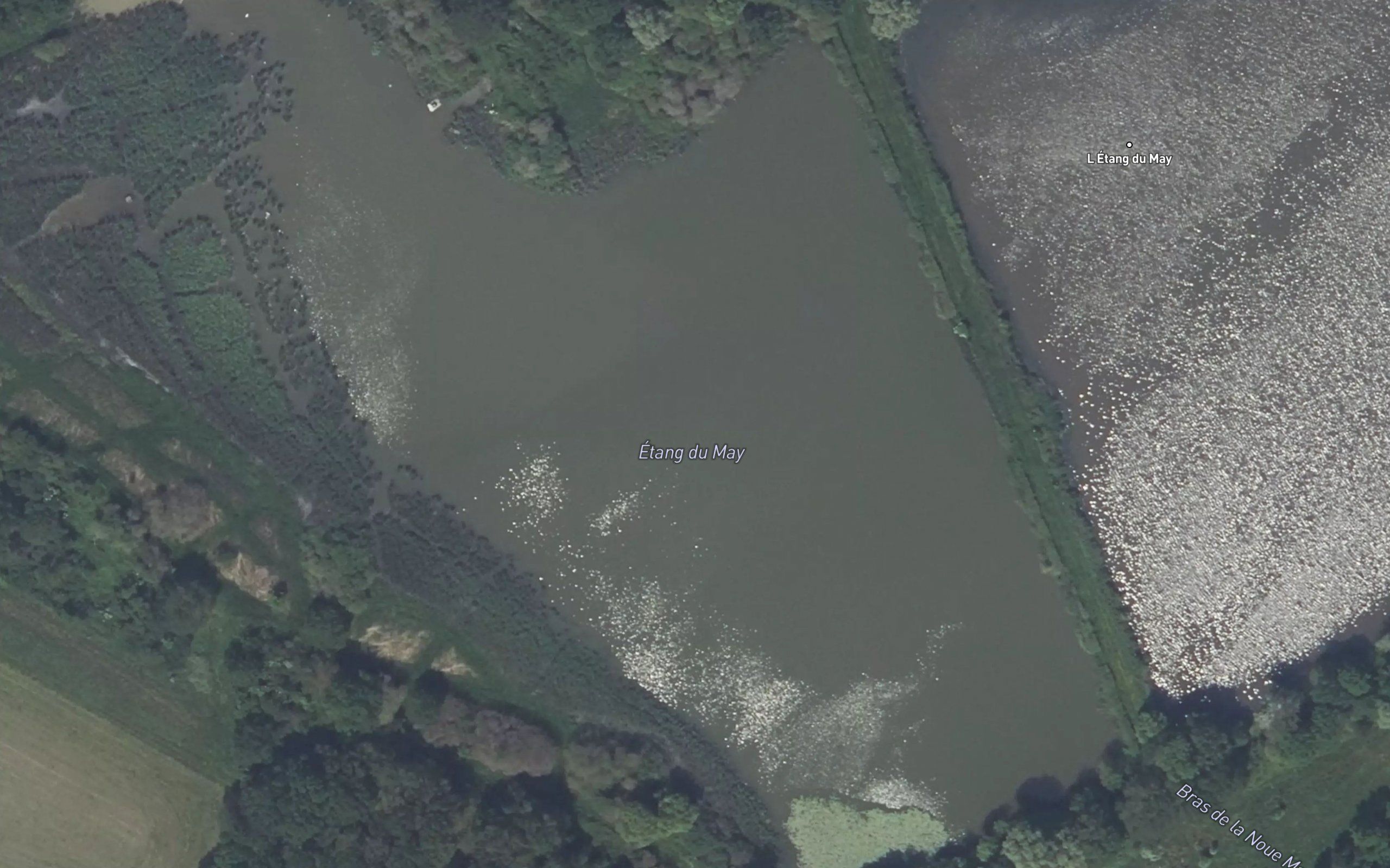 Etang de May