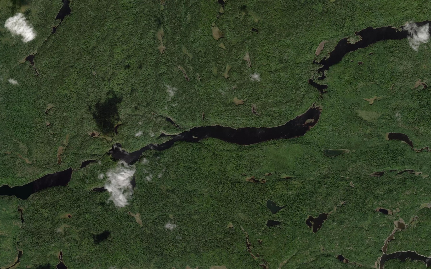 Satellite map of the Paddon Lake