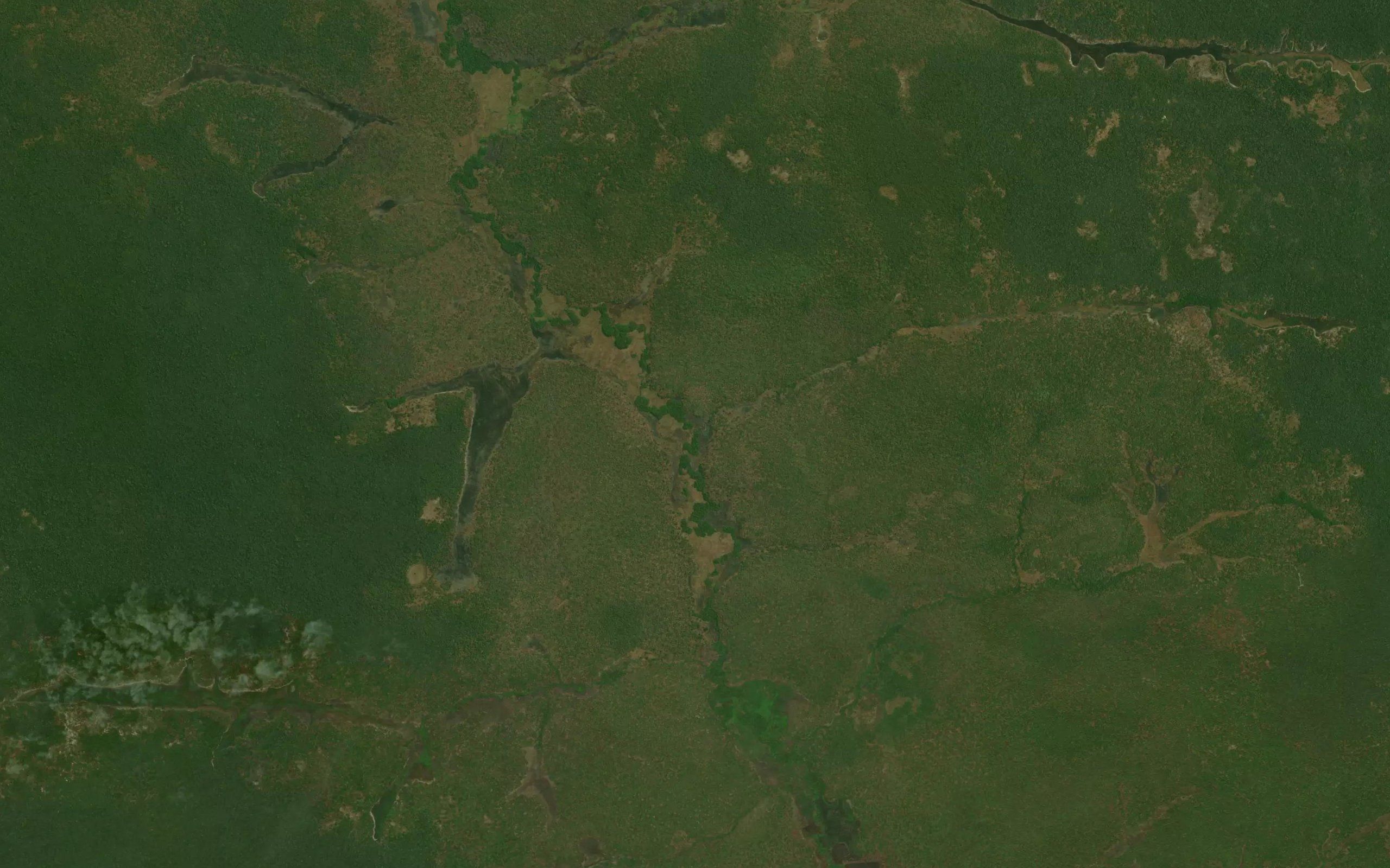 Sanganamongi
