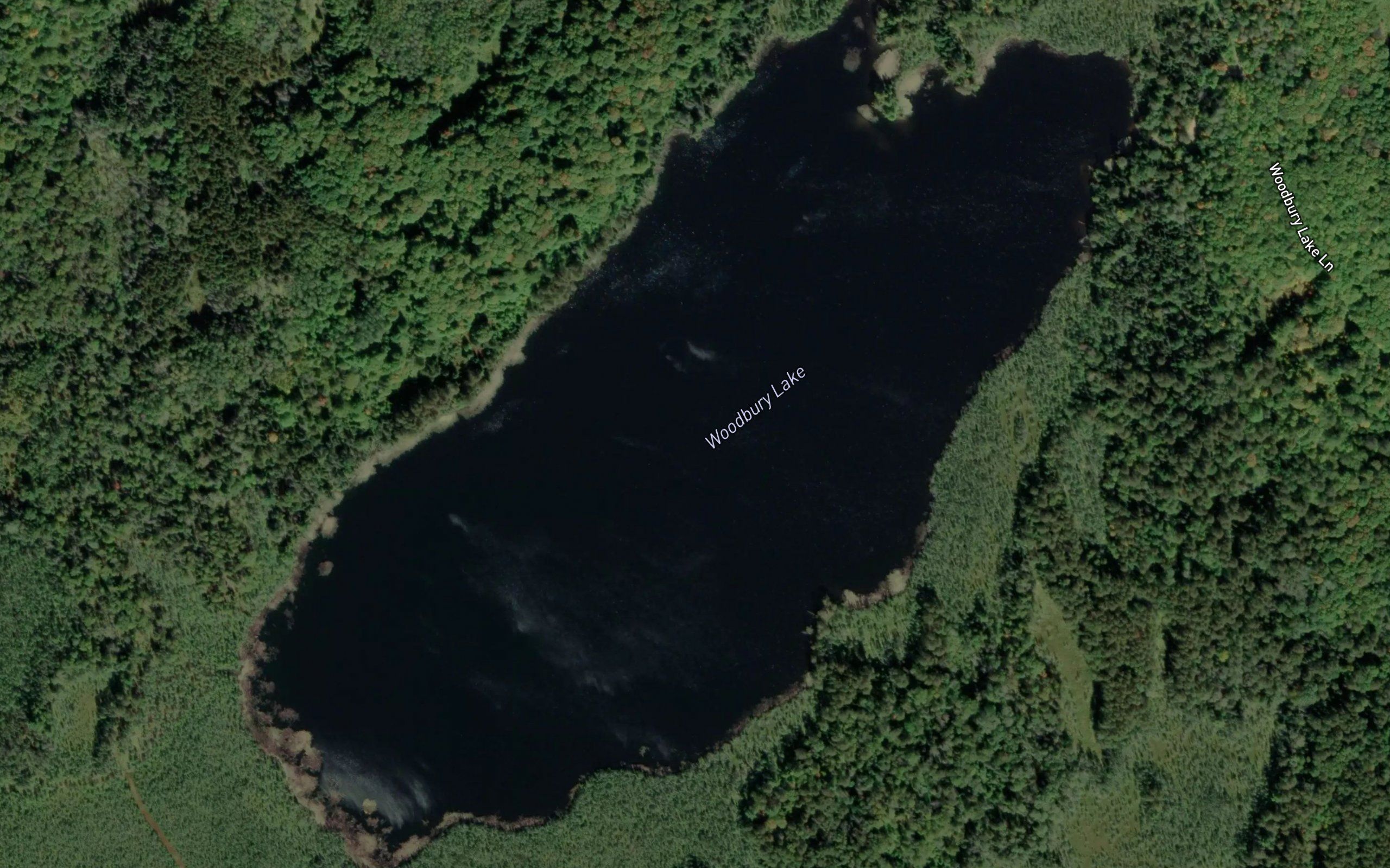Woodbury Lake