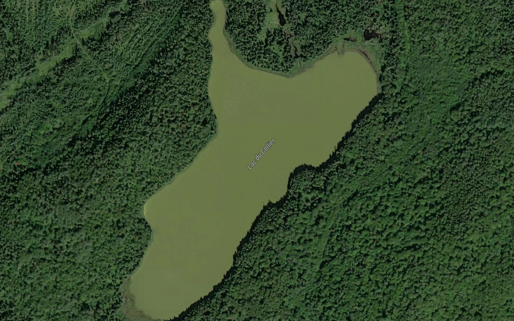 Satellite map of the Lac du Collier