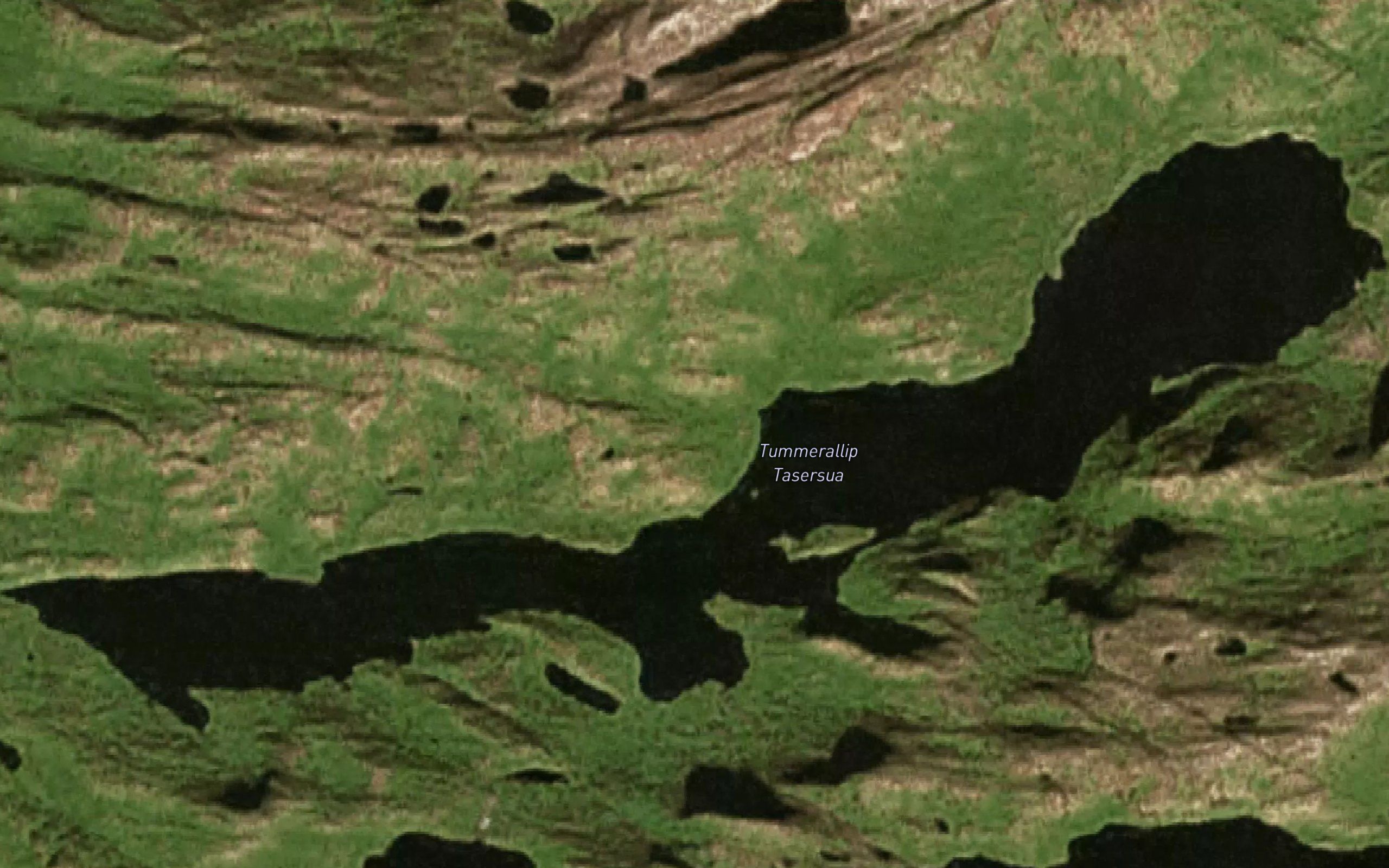 Tungmeragdlip Taserssua
