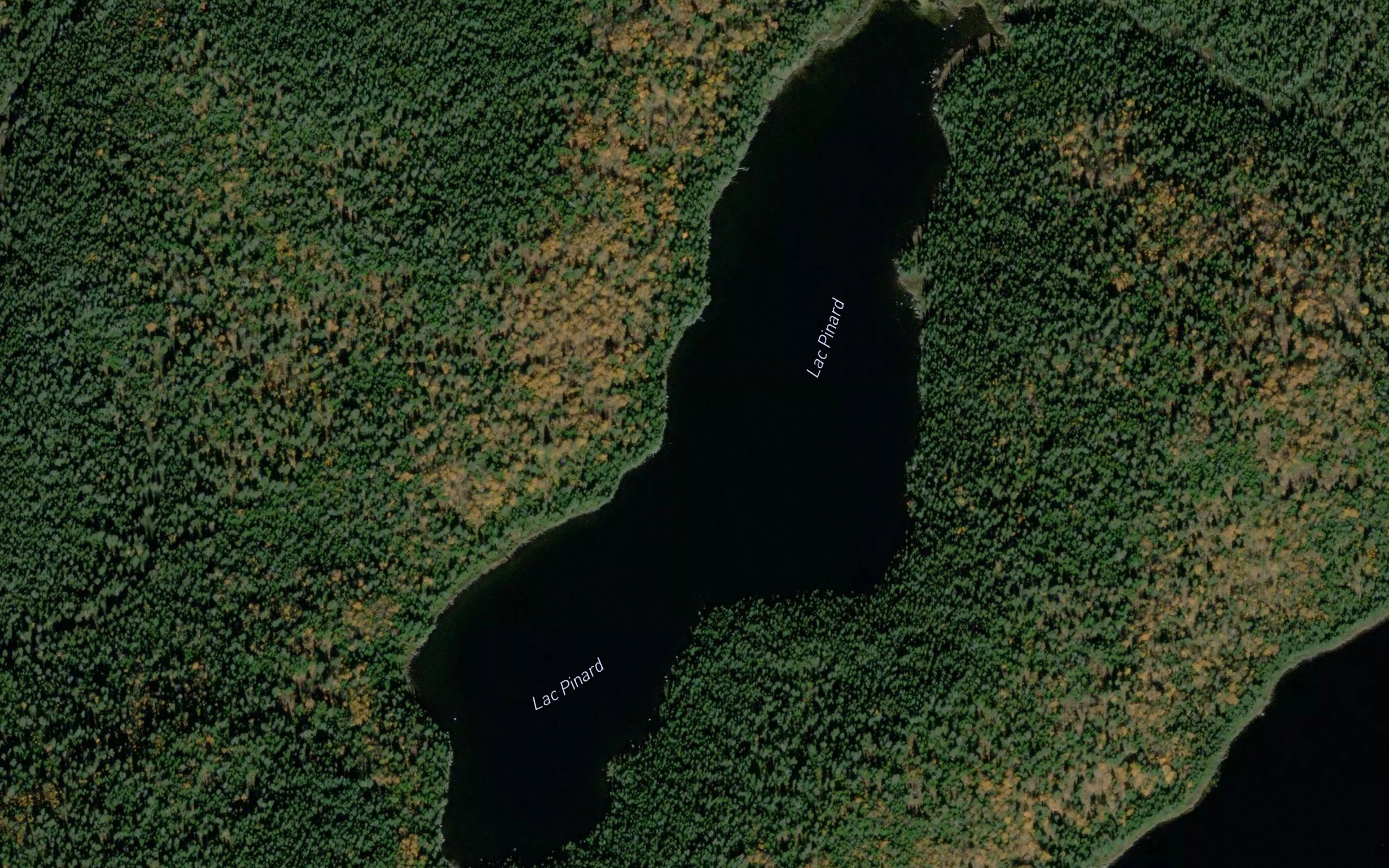 Lac Pinard