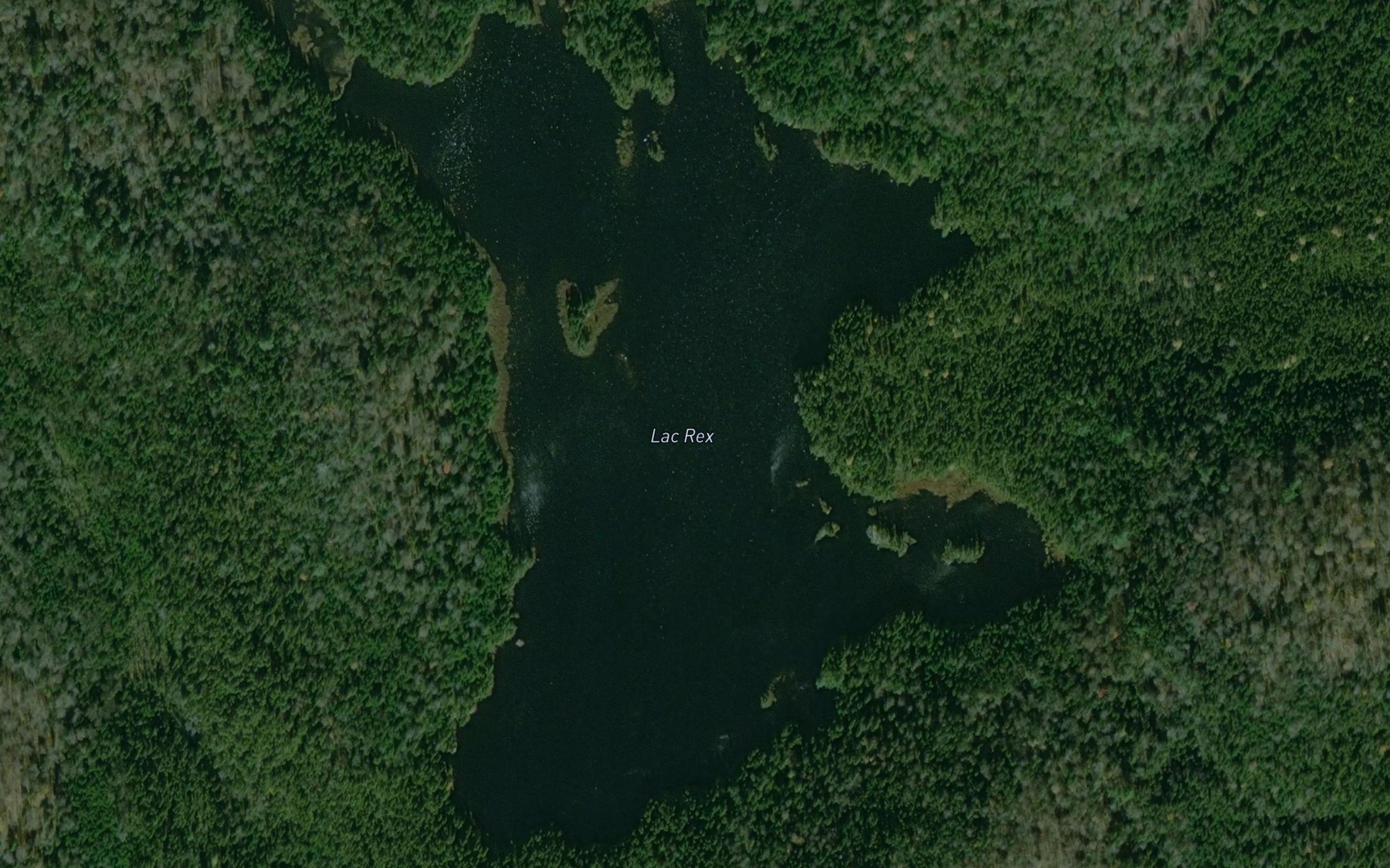 Satellite map of the Lac Rex