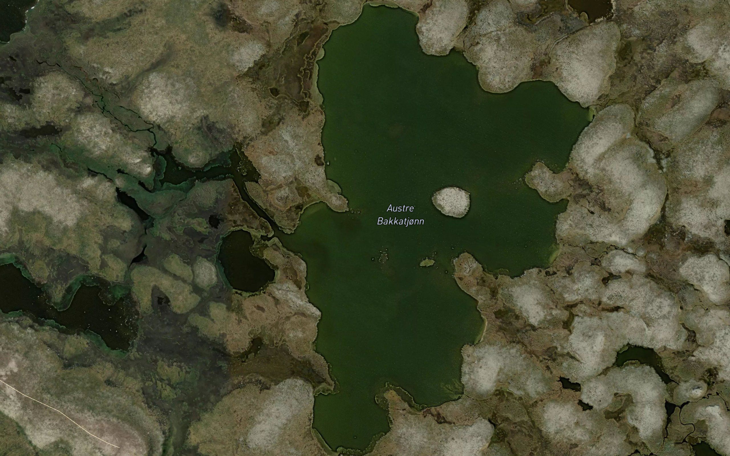 Austre Bakkatjorn