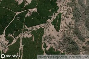 Snodgrass Back Gully