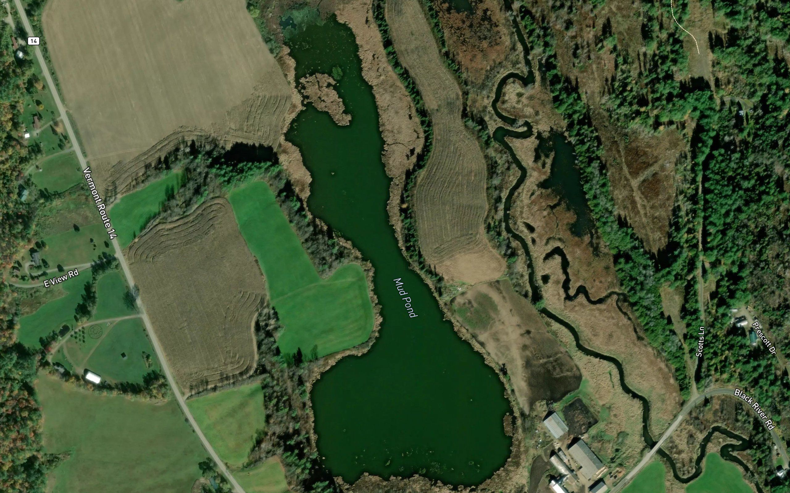 Mud Pond