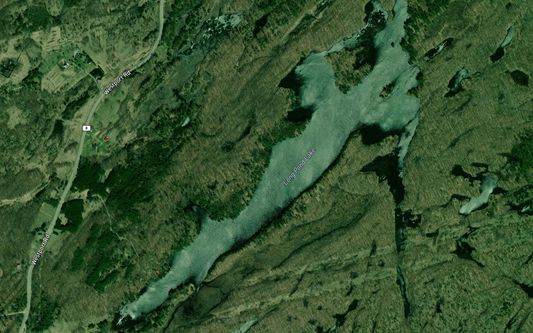 Satellite map of the Long Pond Lake