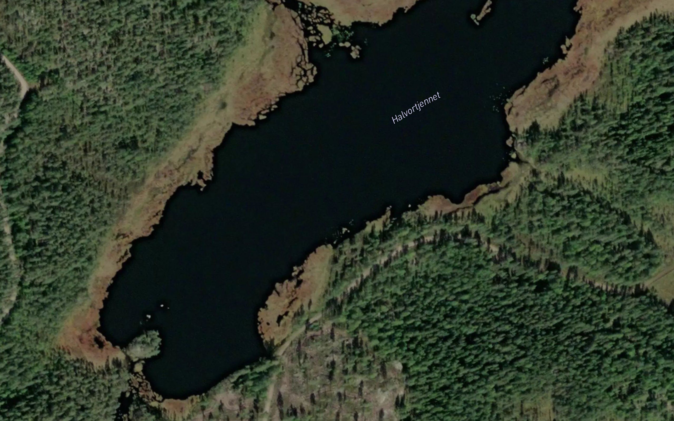 Halvortjennet