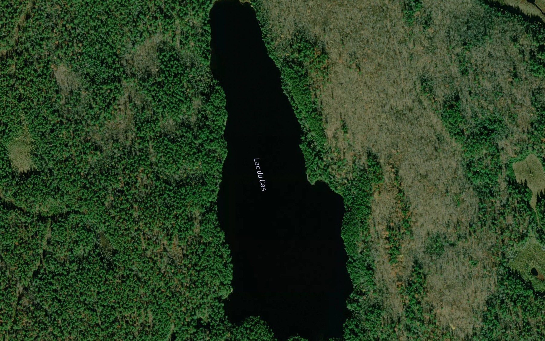 Satellite map of the Lac du Cas