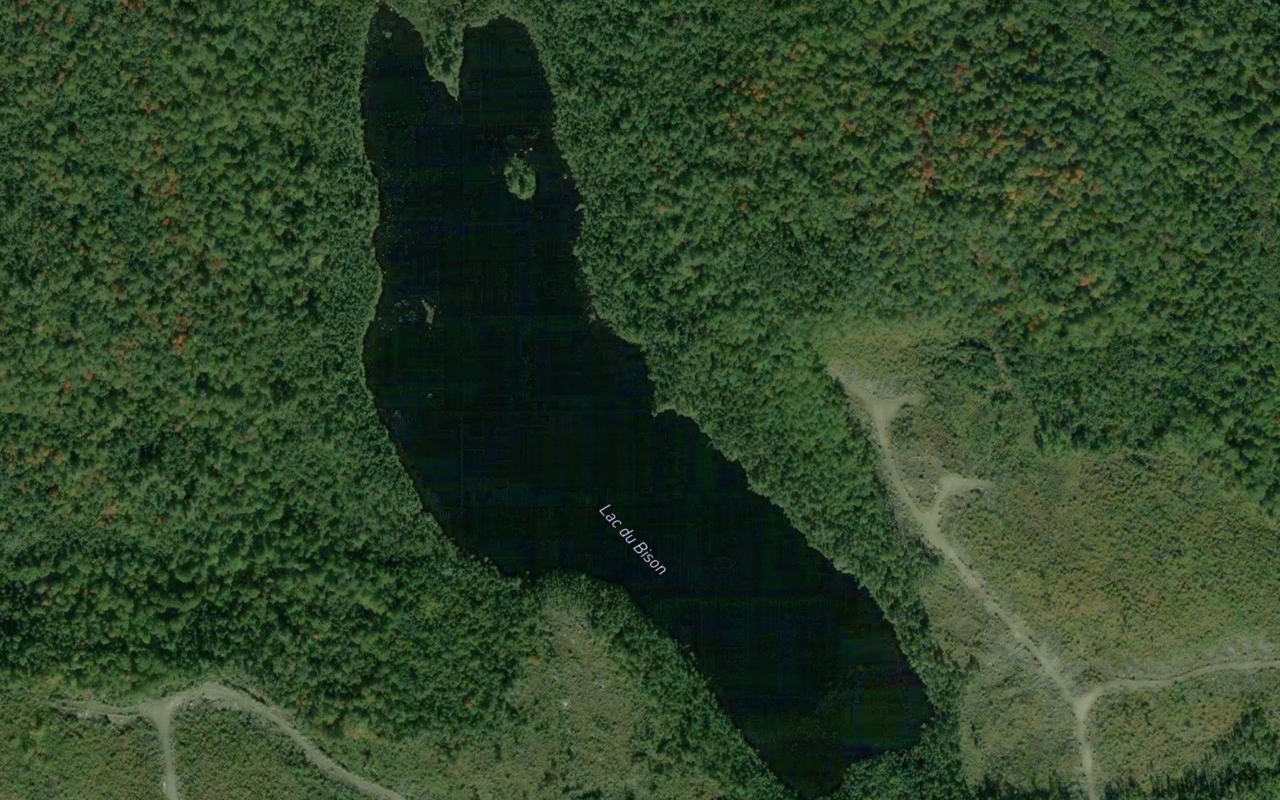 Satellite map of the Lac du Bison