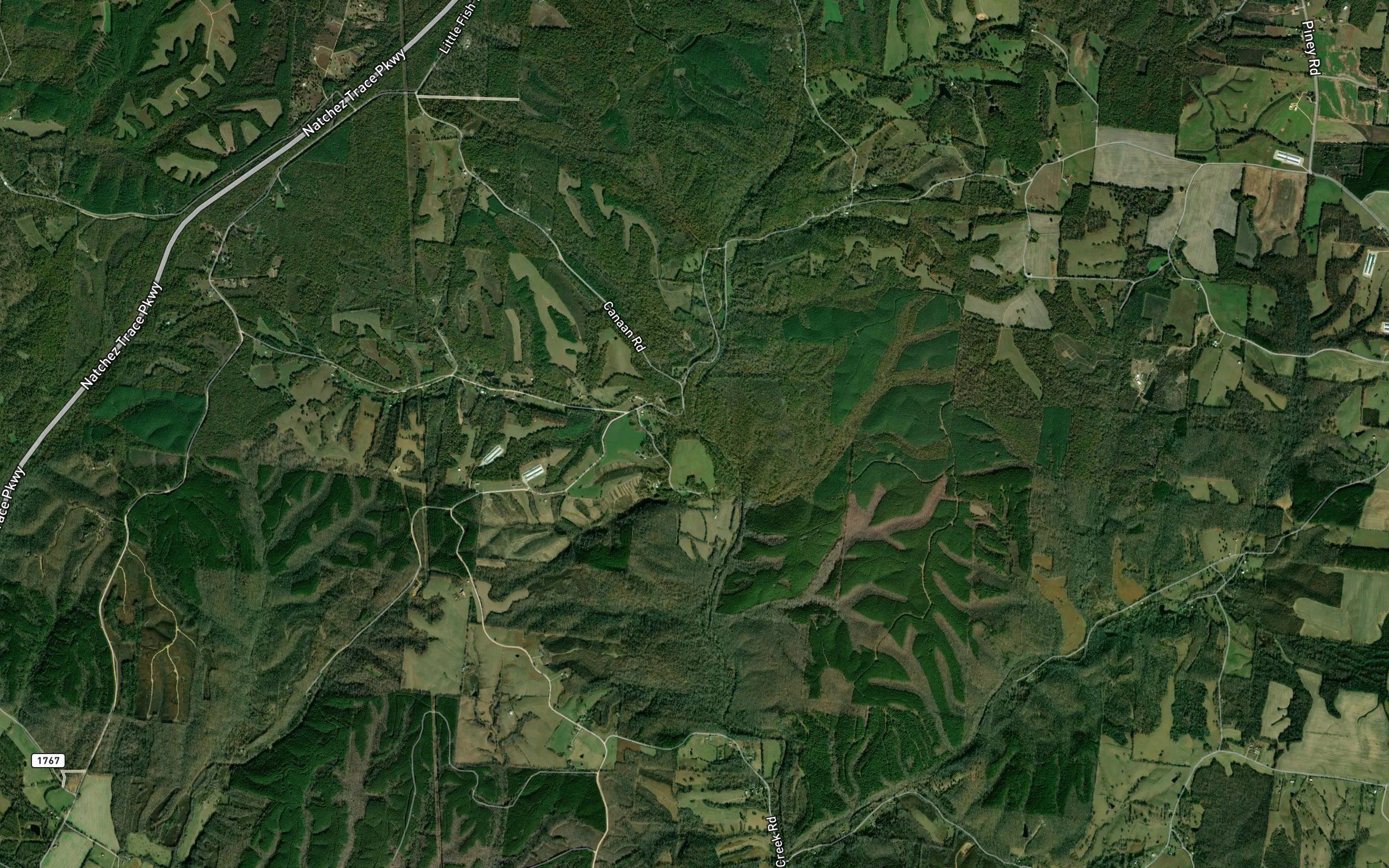 Suckstem Branch