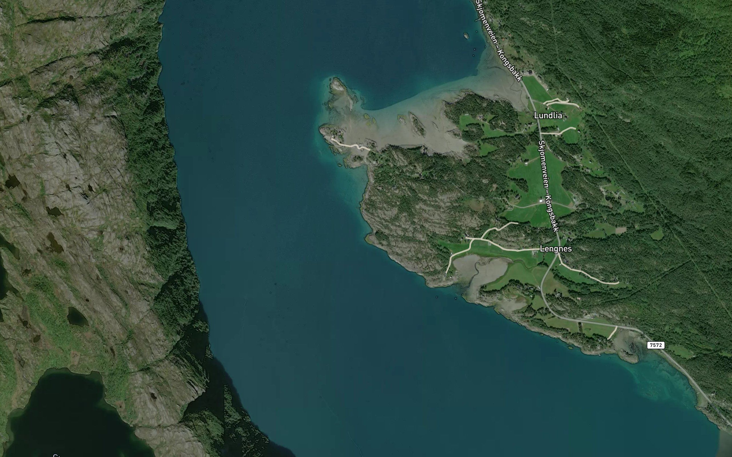 Karvevika