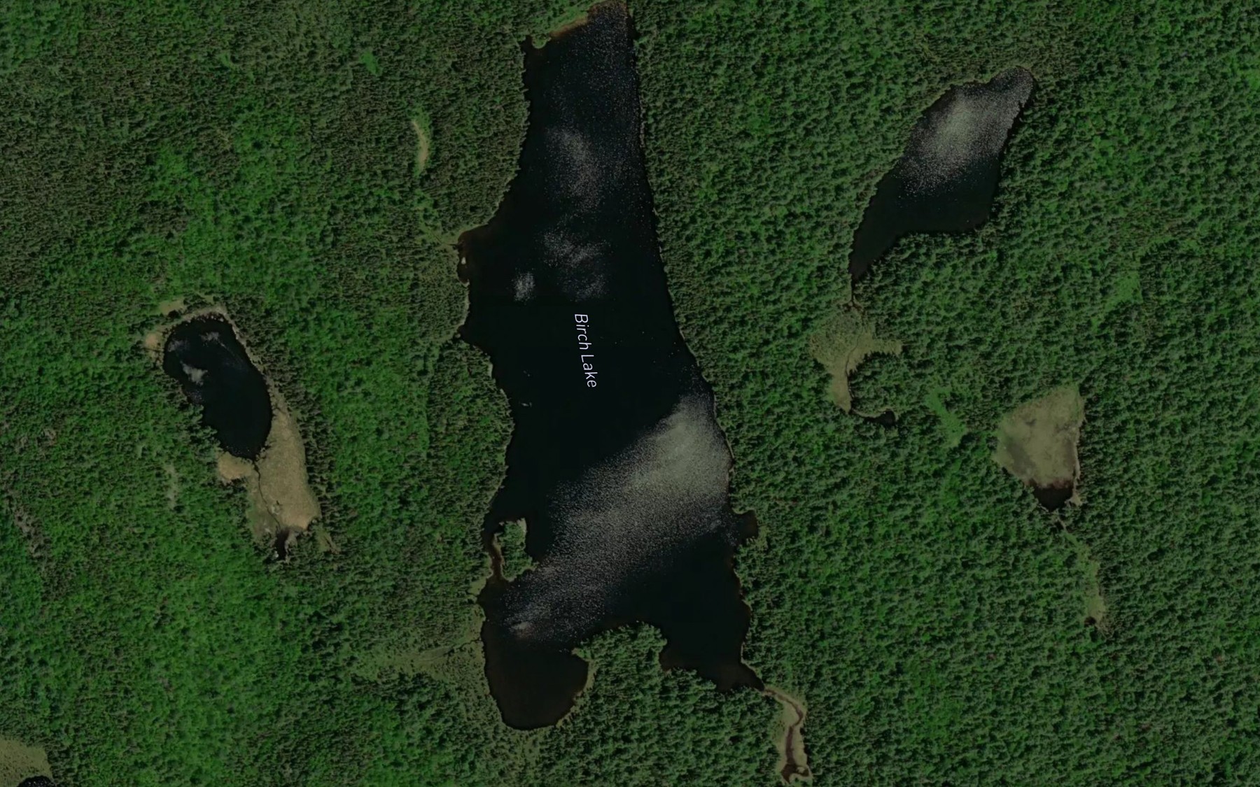 Satellite map of the Birch Lake