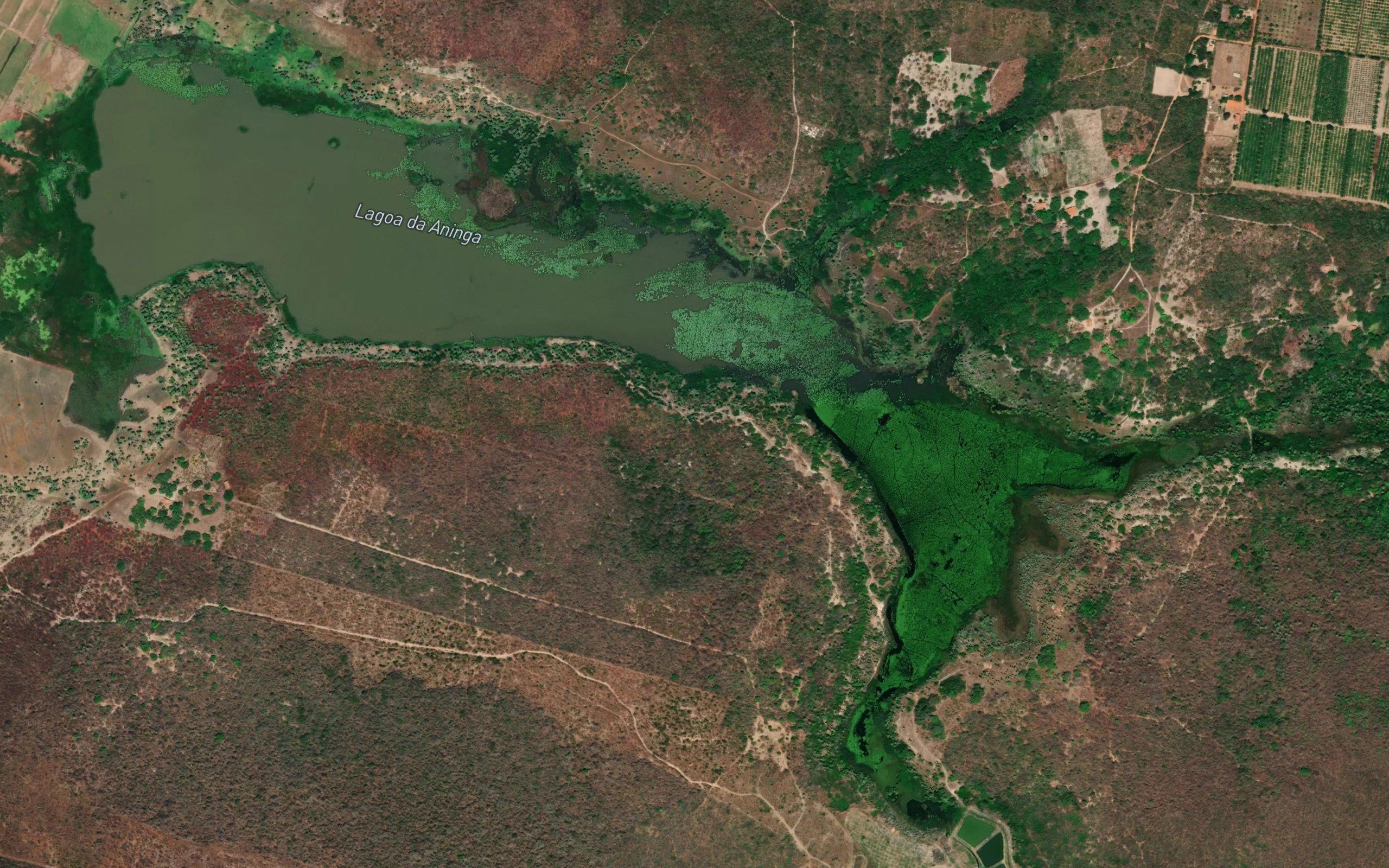 Lagoa da Aninga