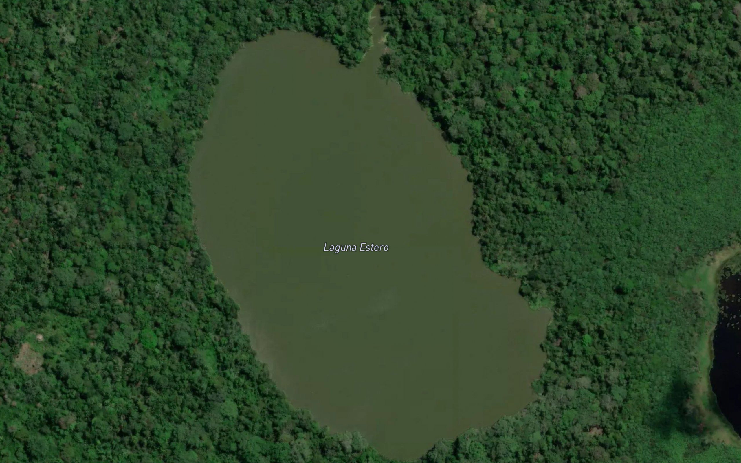Laguna Estero